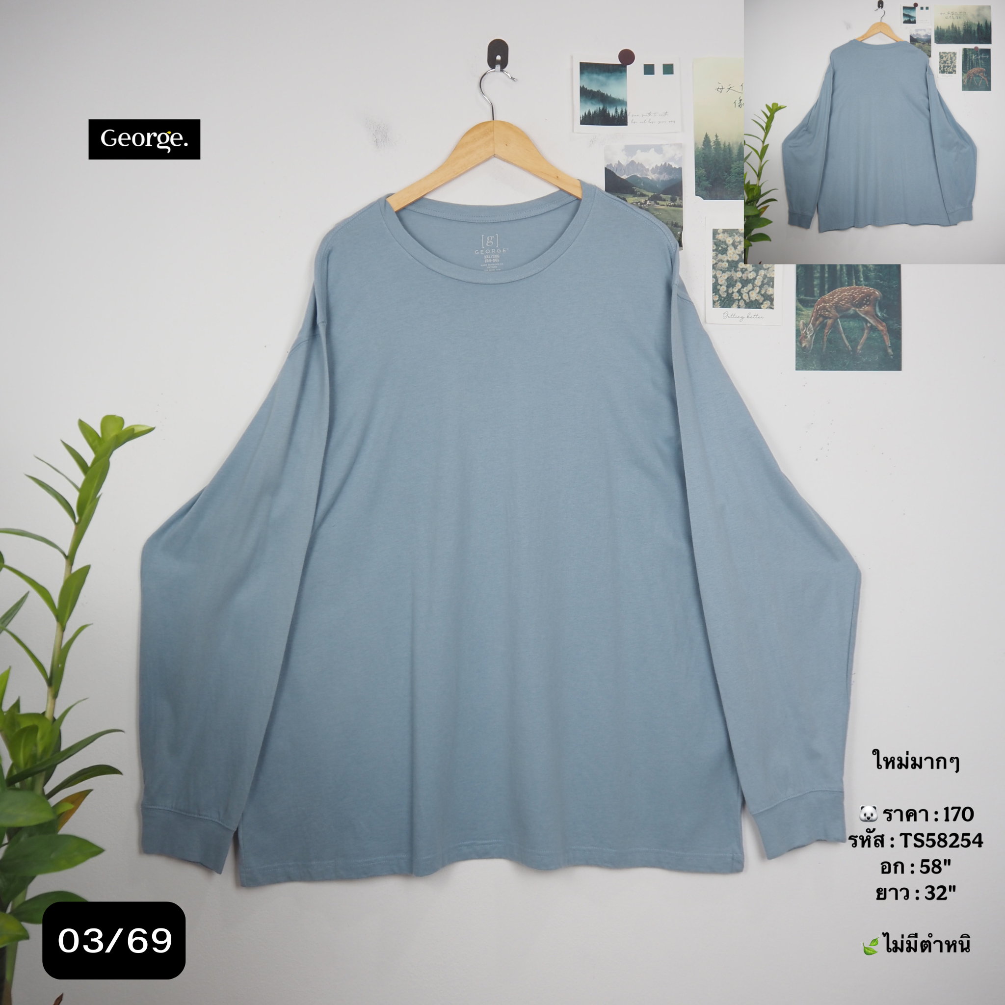 TS58254