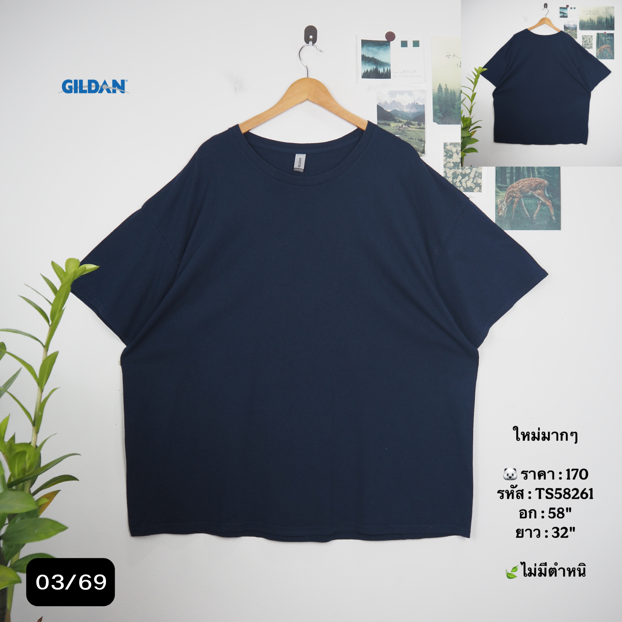 TS58261