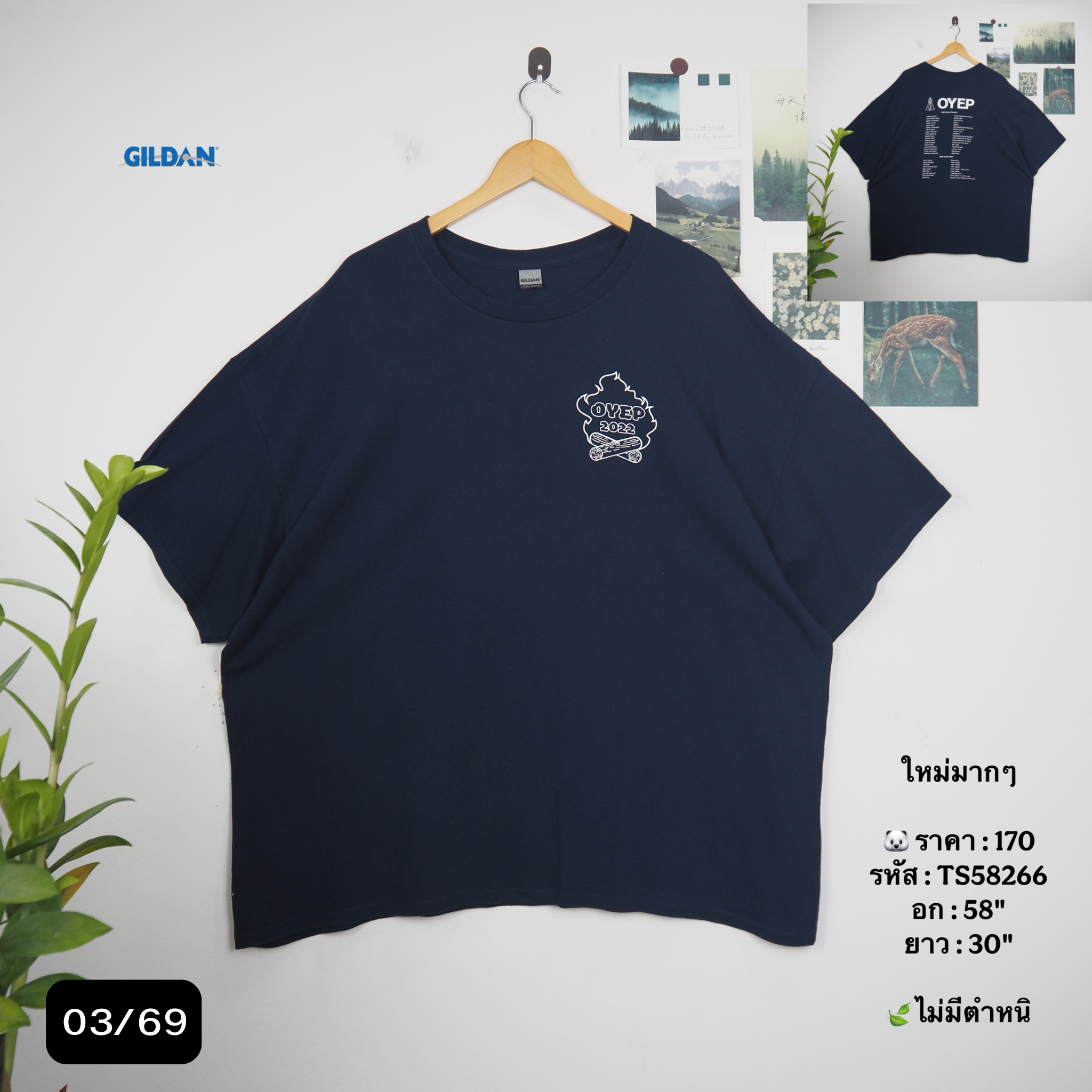 TS58266
