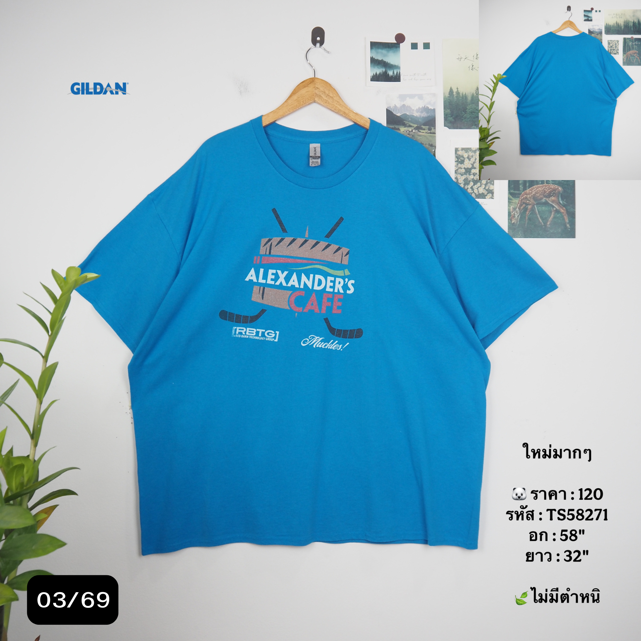 TS58271