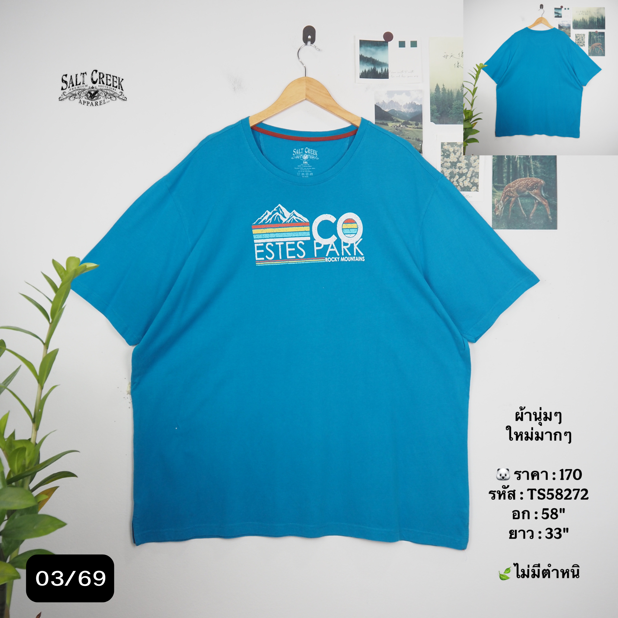 TS58272