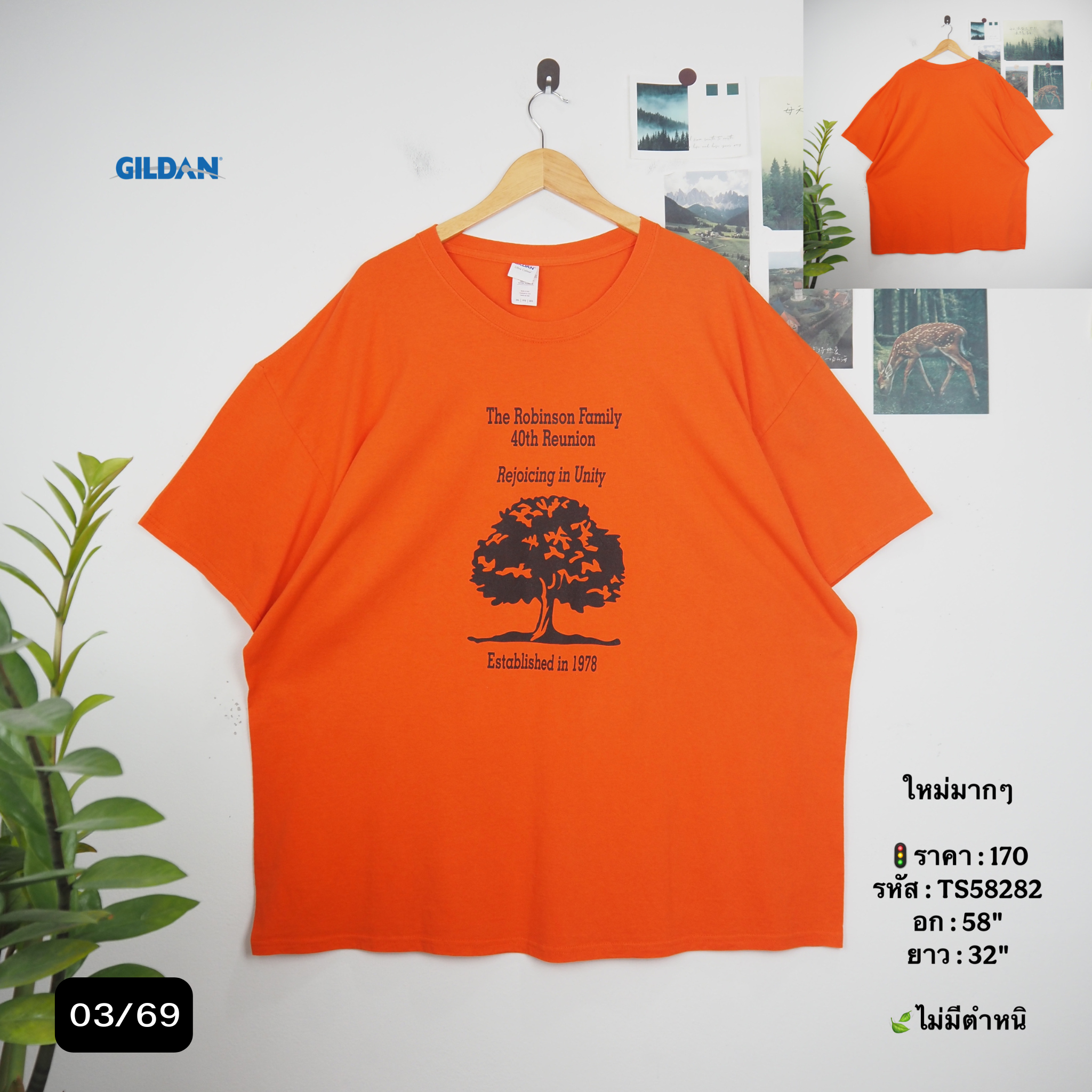 TS58282