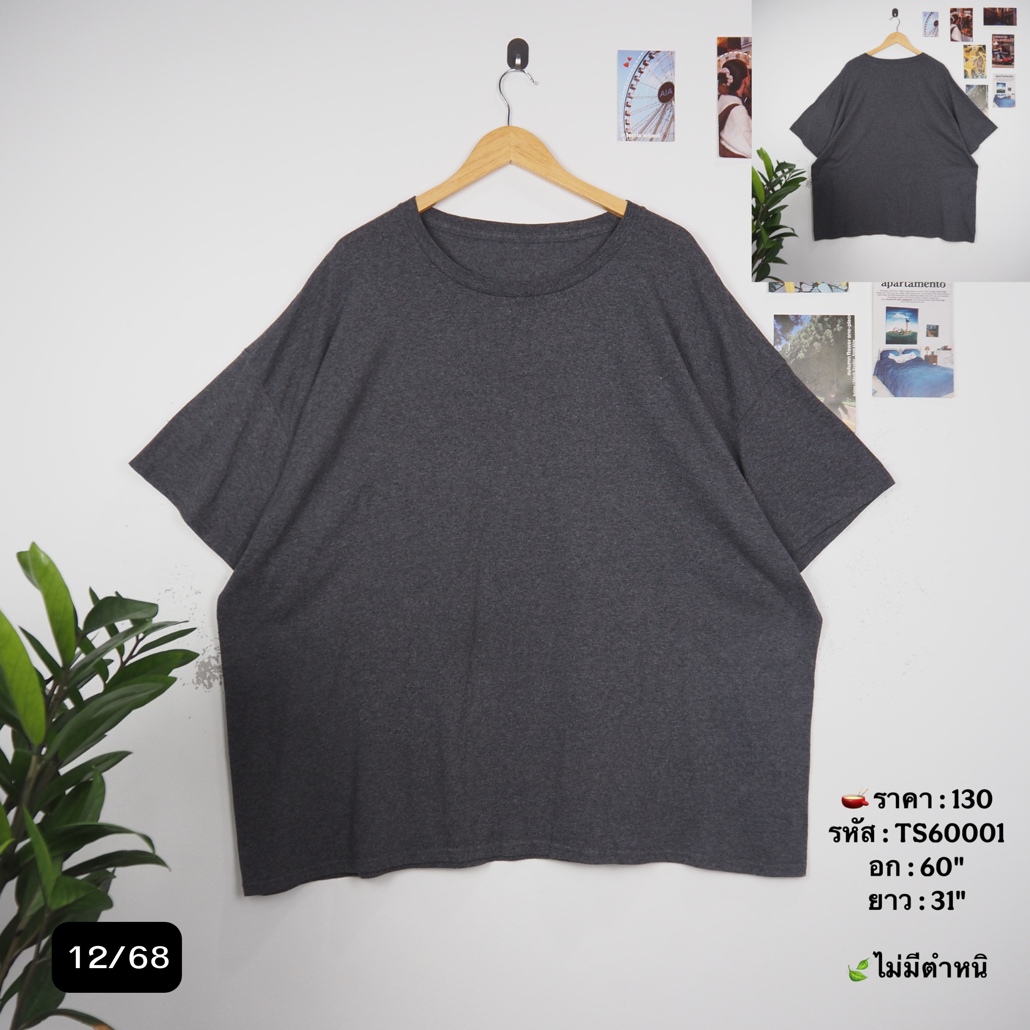 TS60001