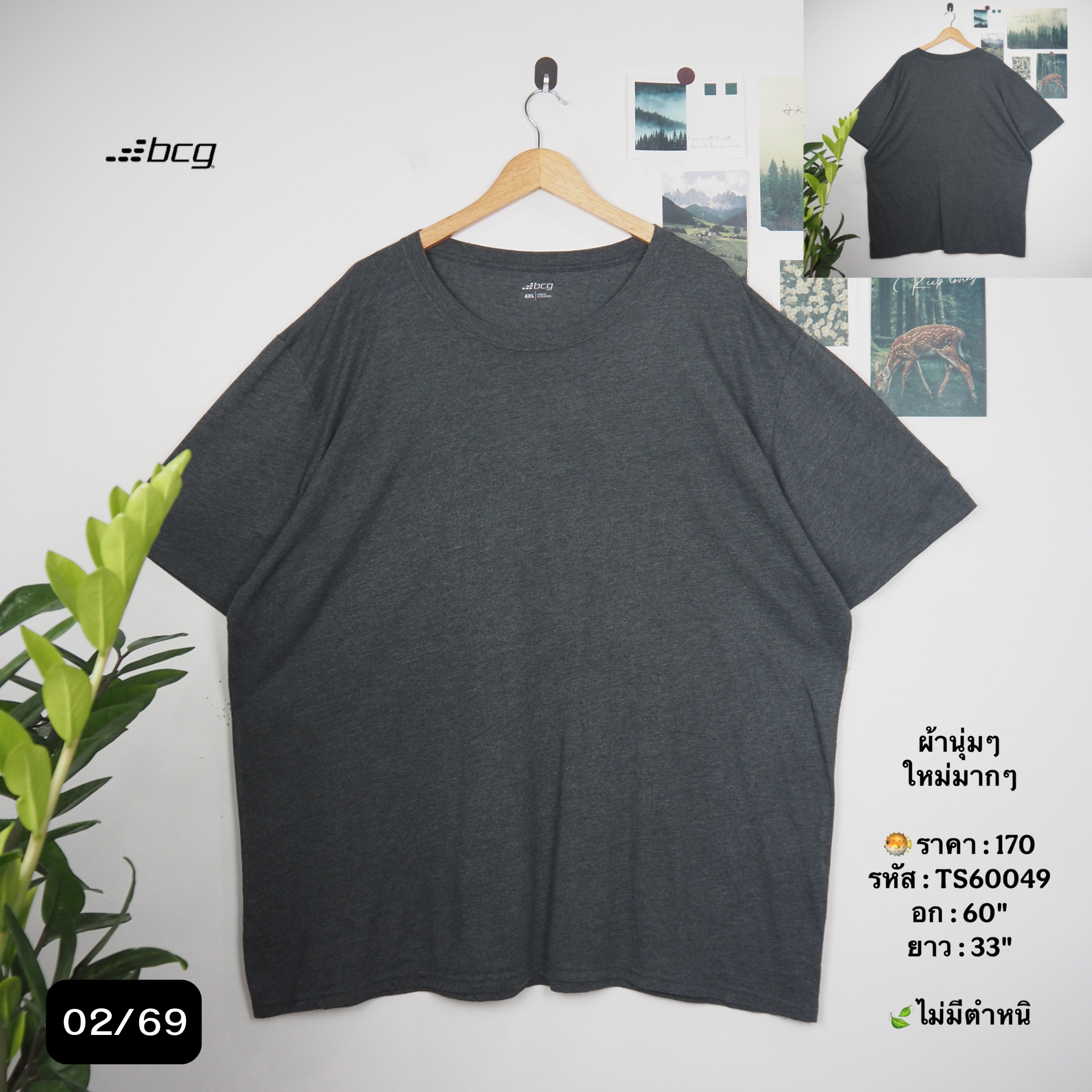 TS60049