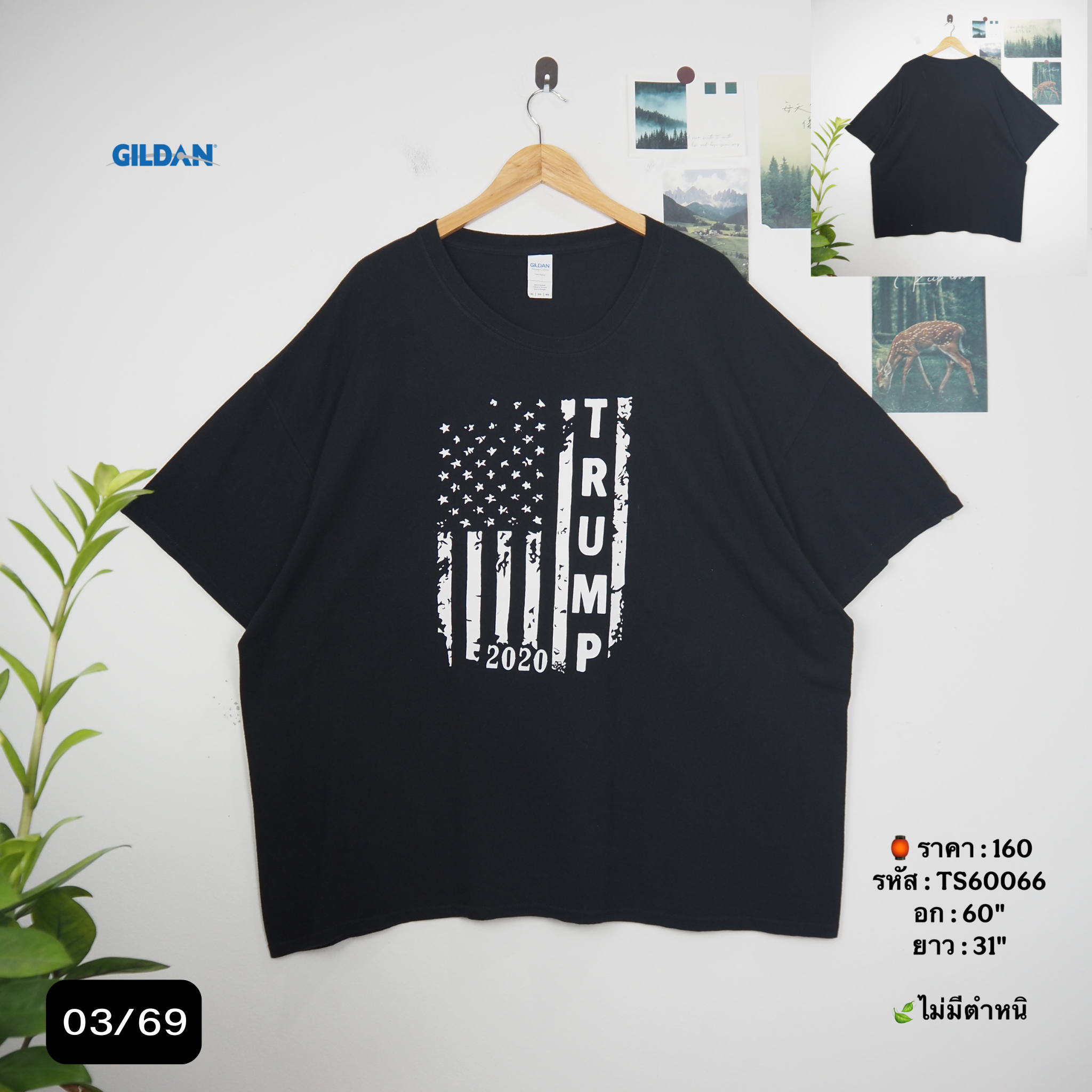 TS60066