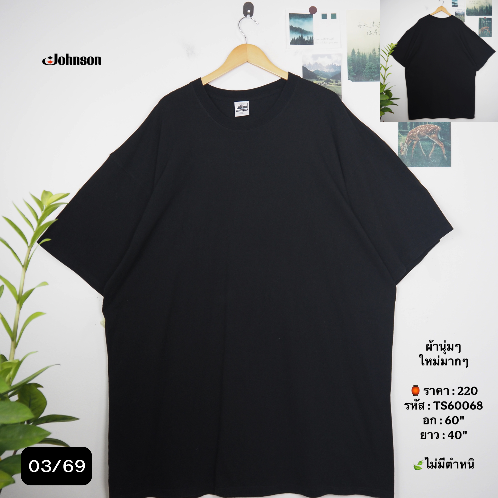 TS60068