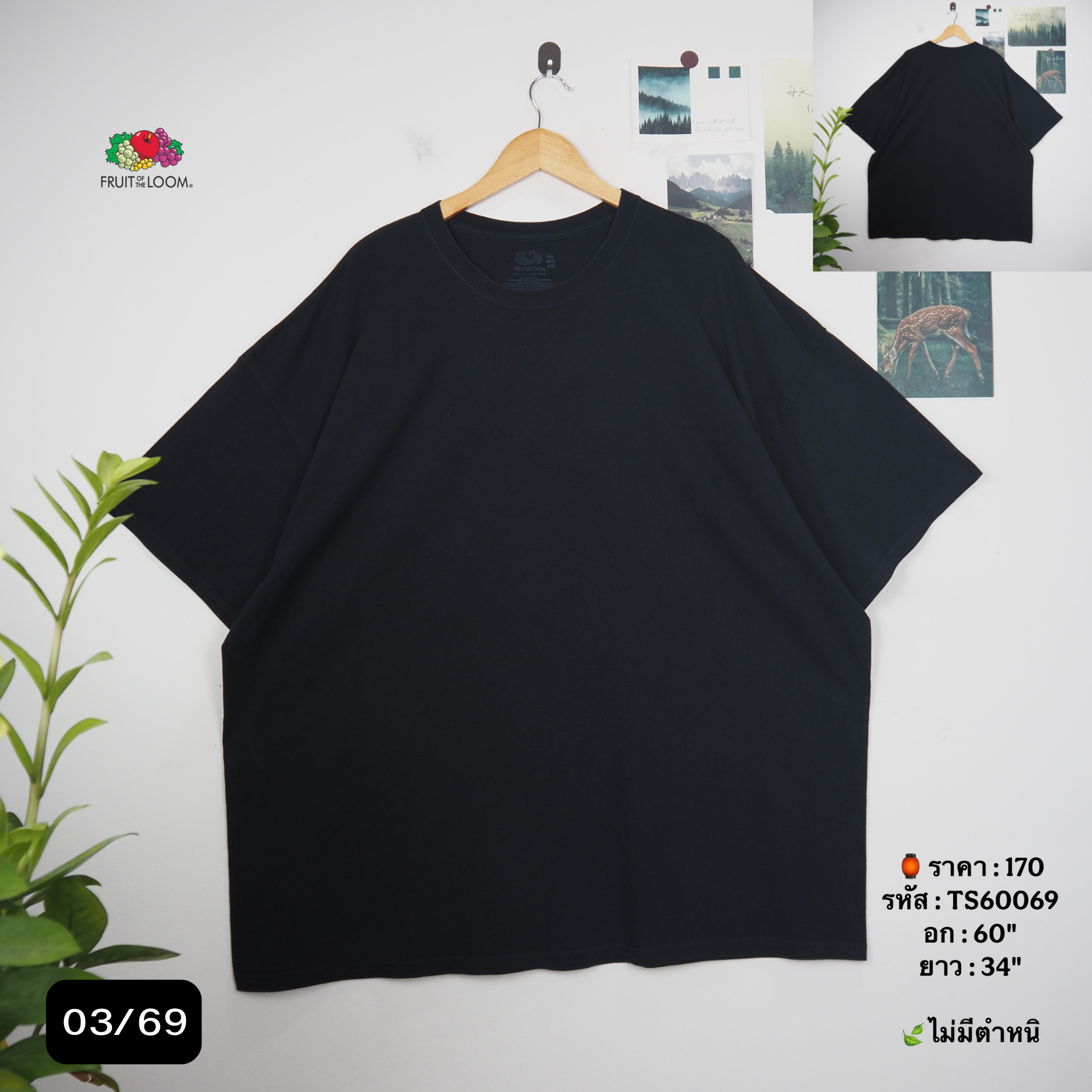 TS60069