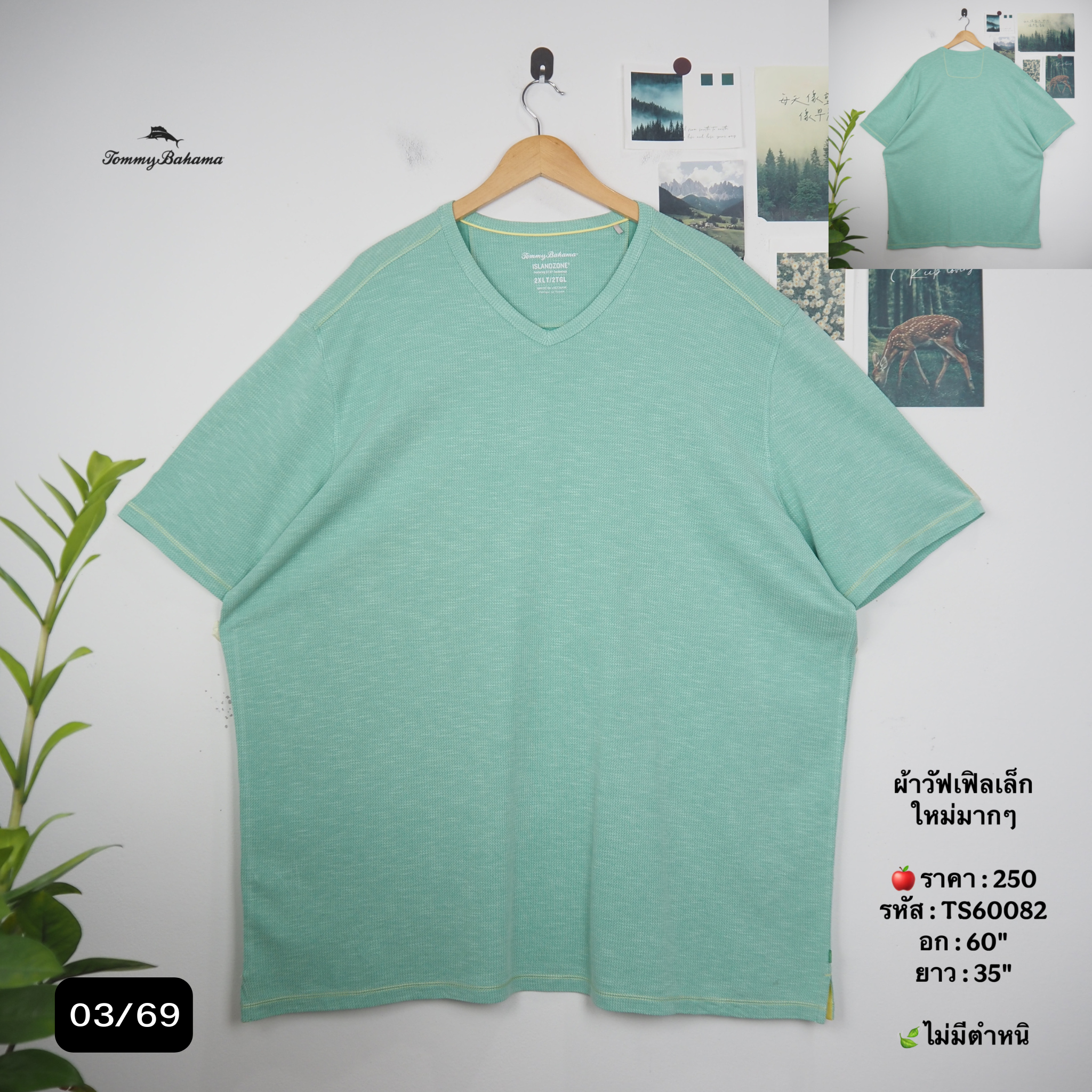 TS60082