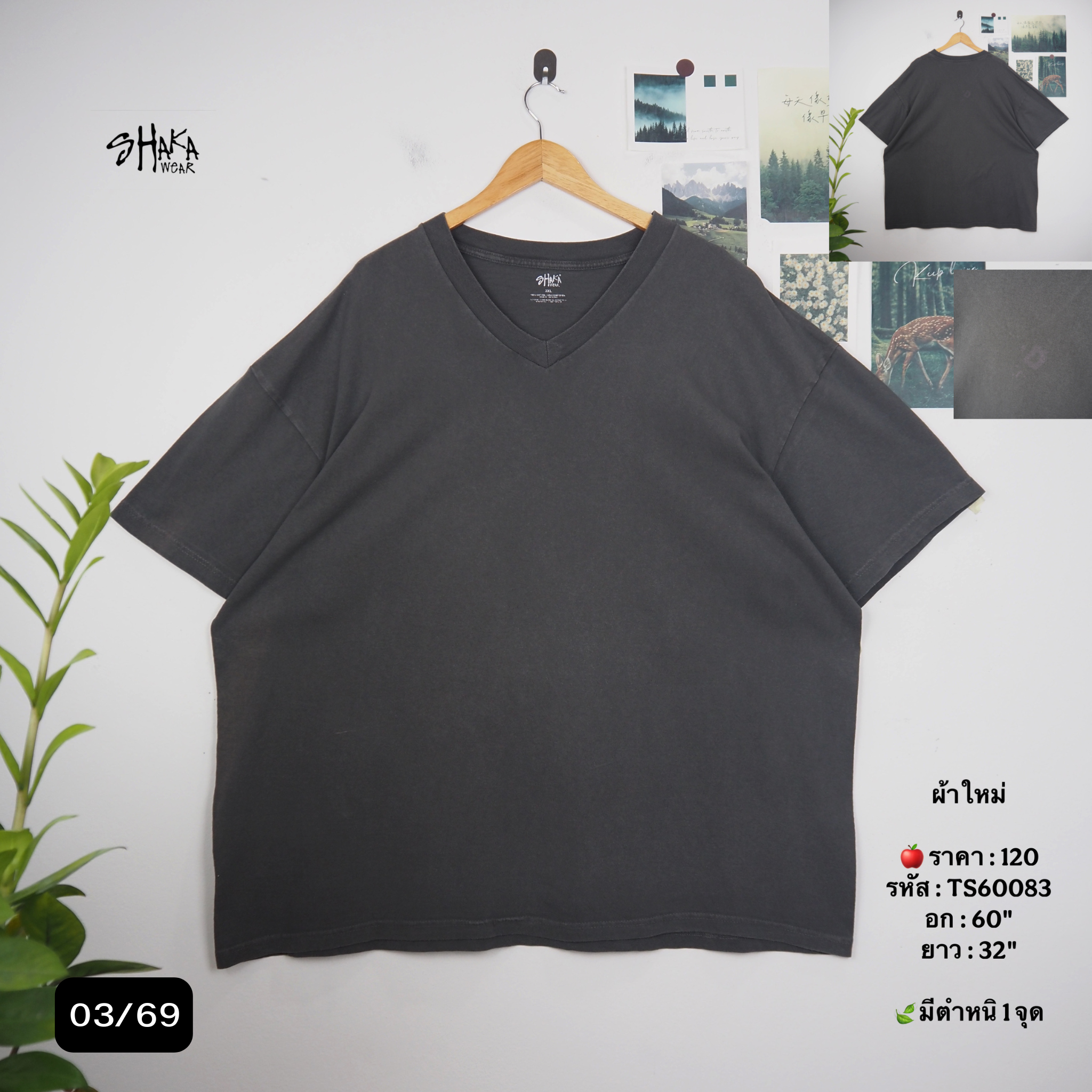 TS60083