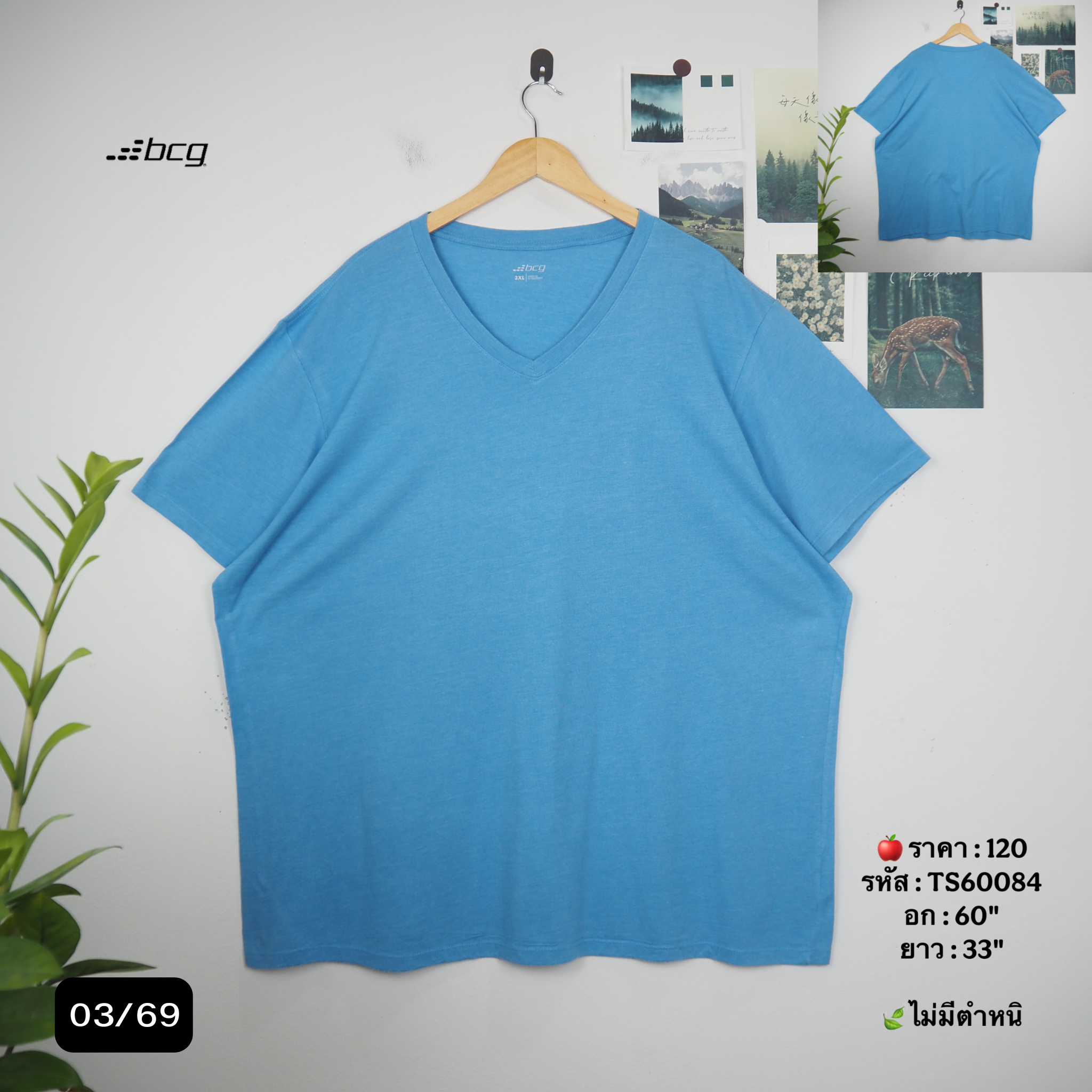 TS60084