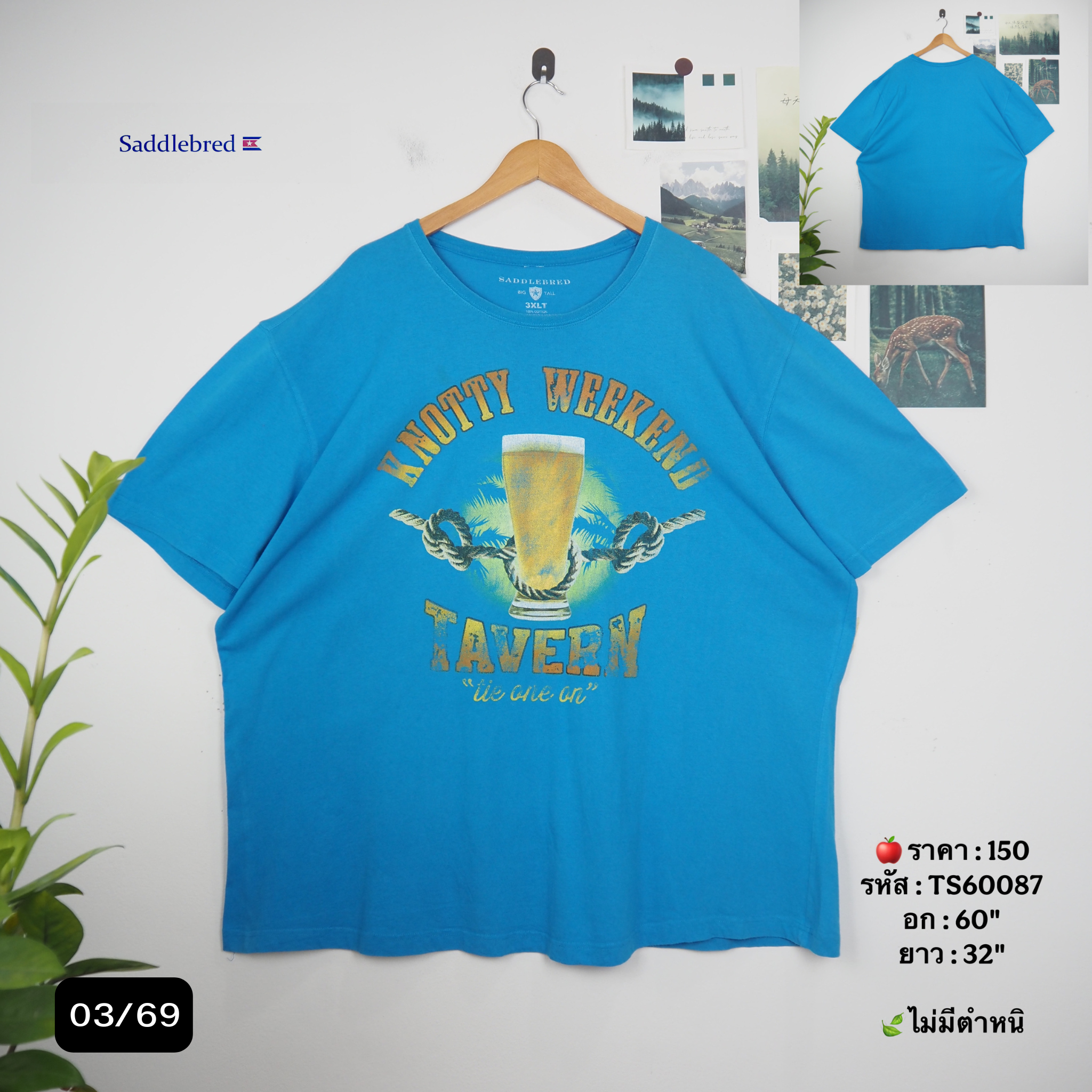 TS60087