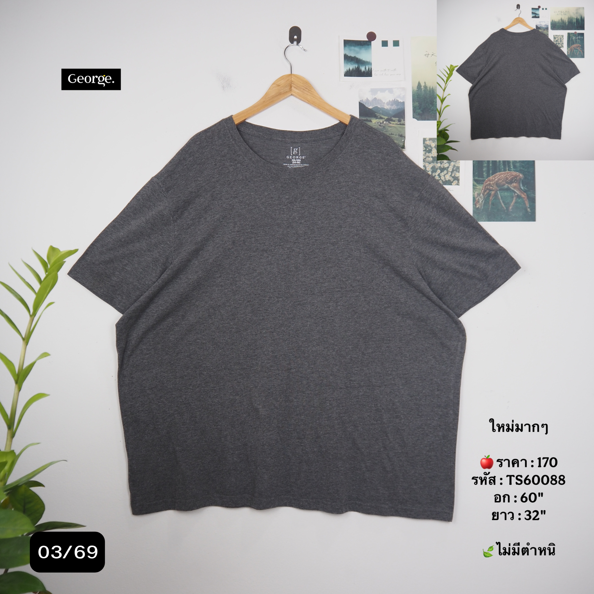 TS60088