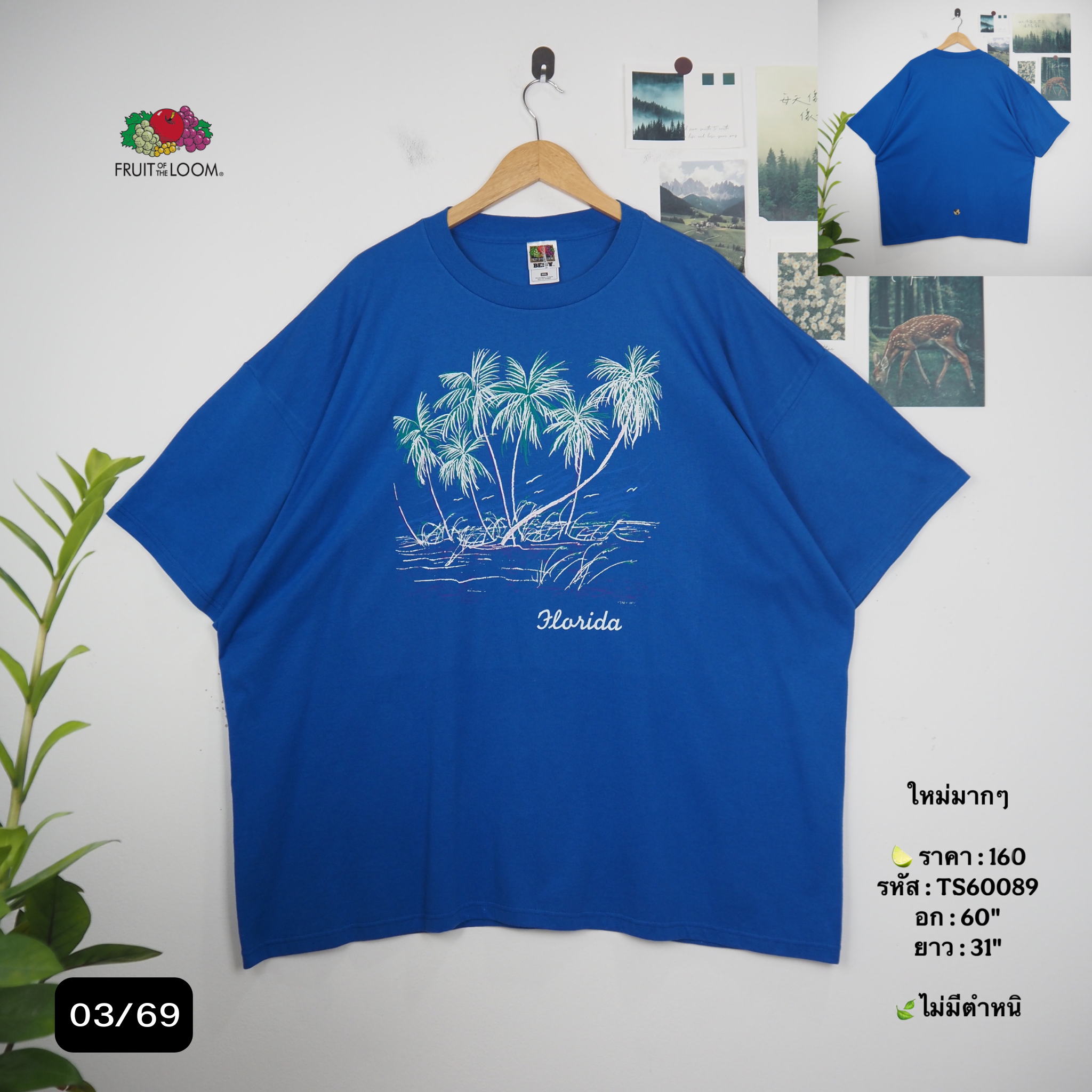 TS60089