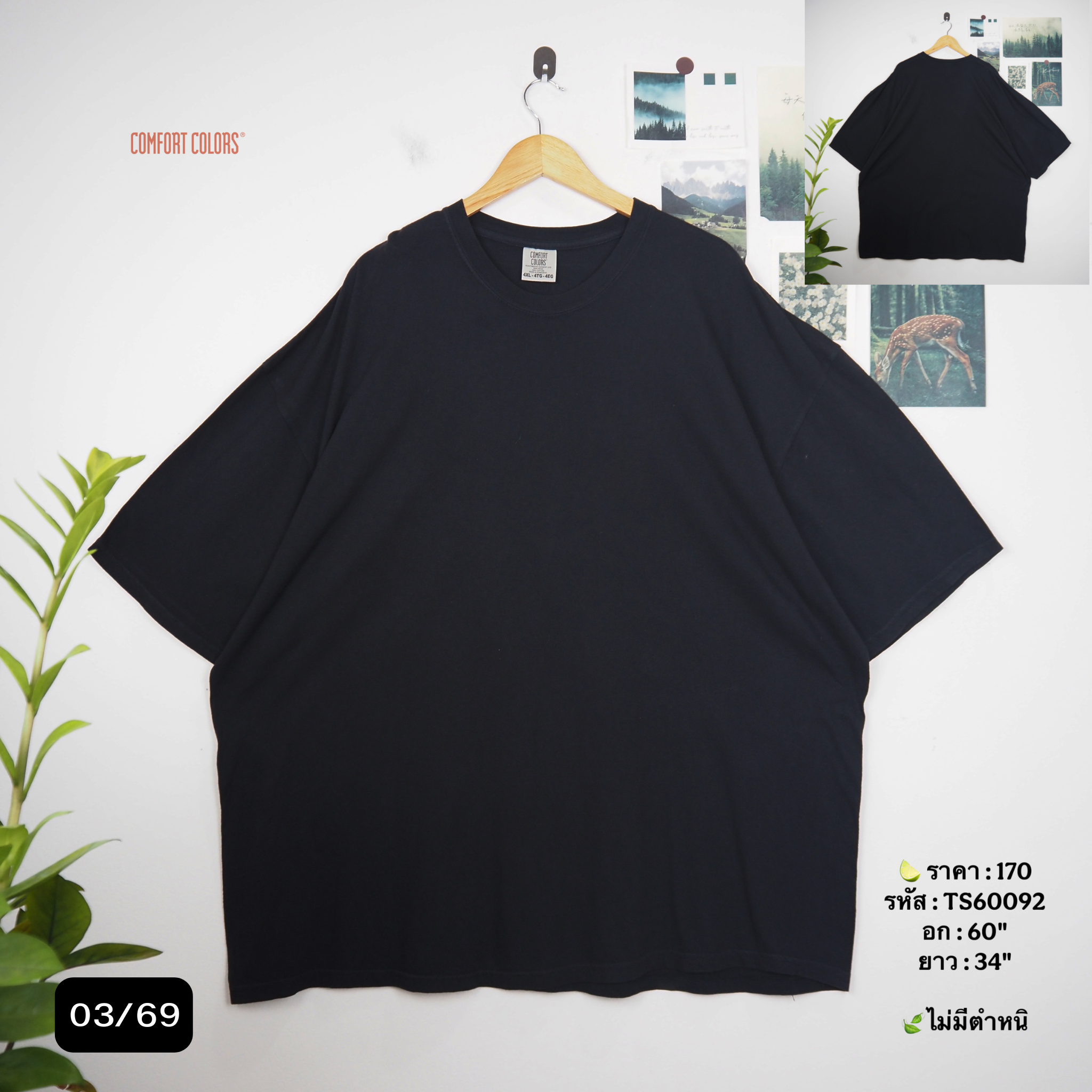 TS60092
