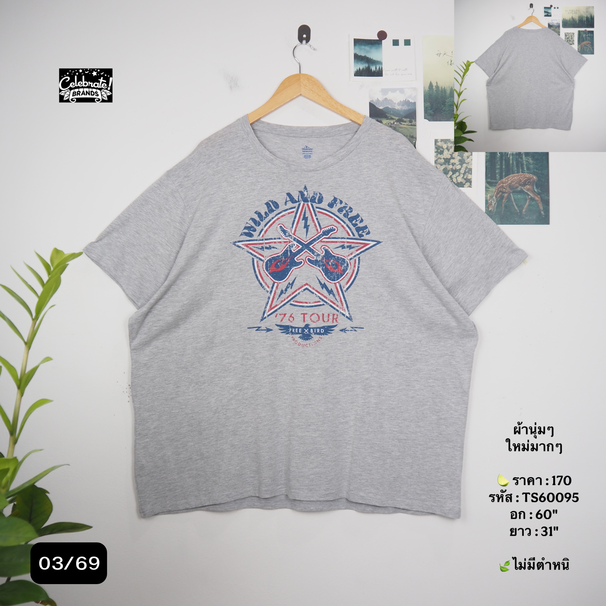 TS60095
