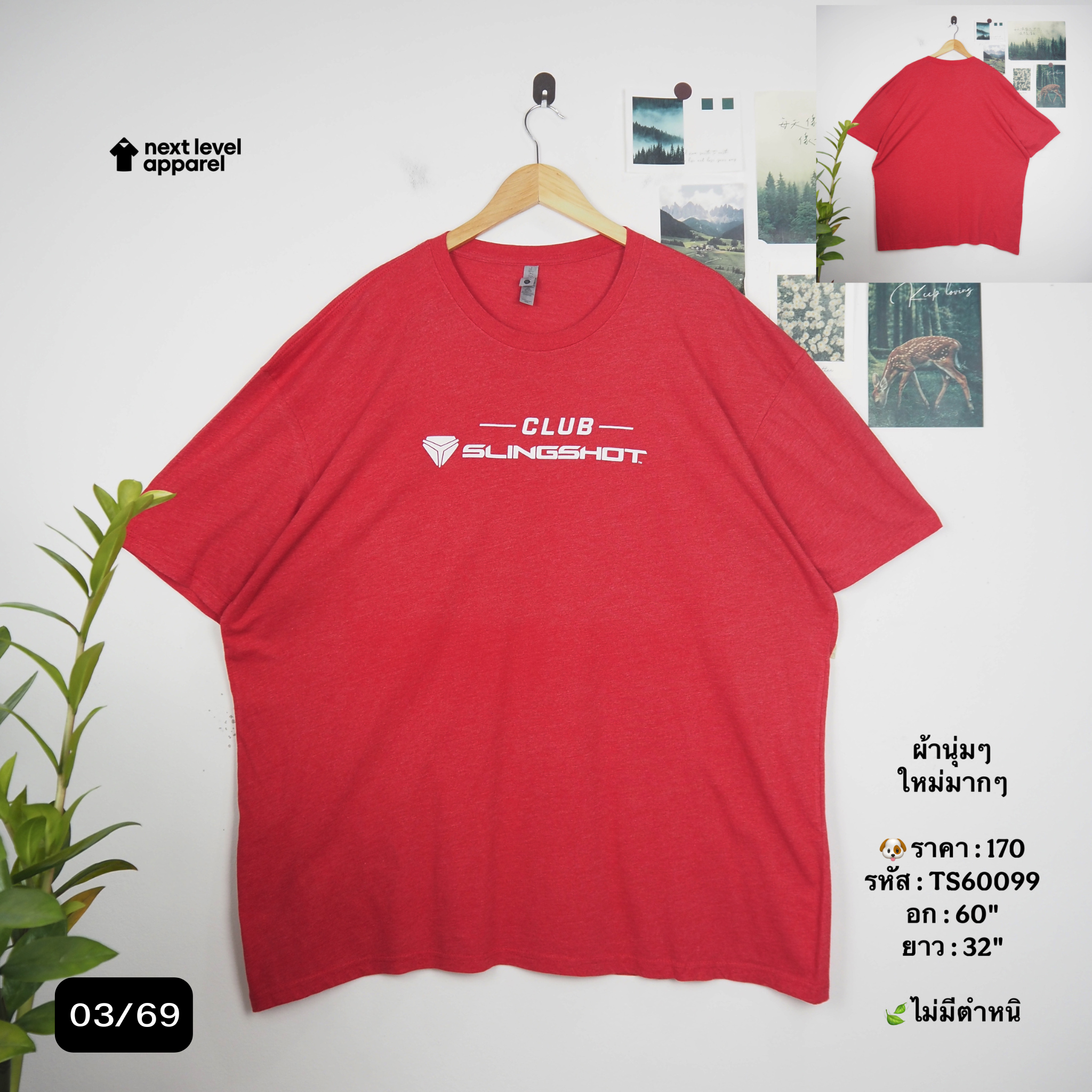 TS60099