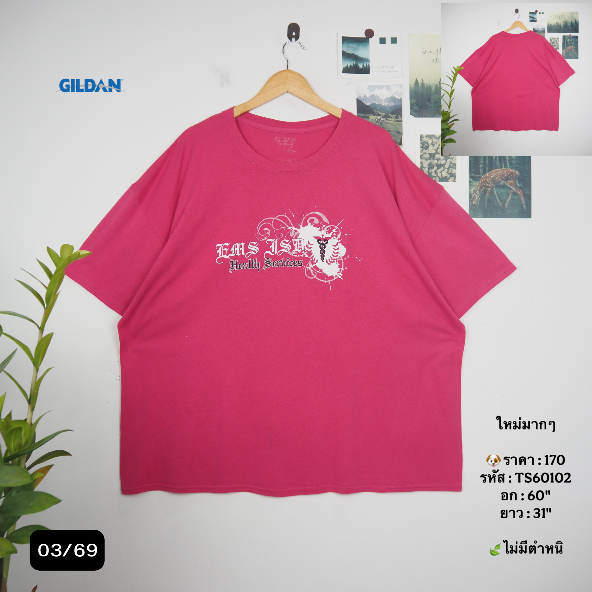 TS60102