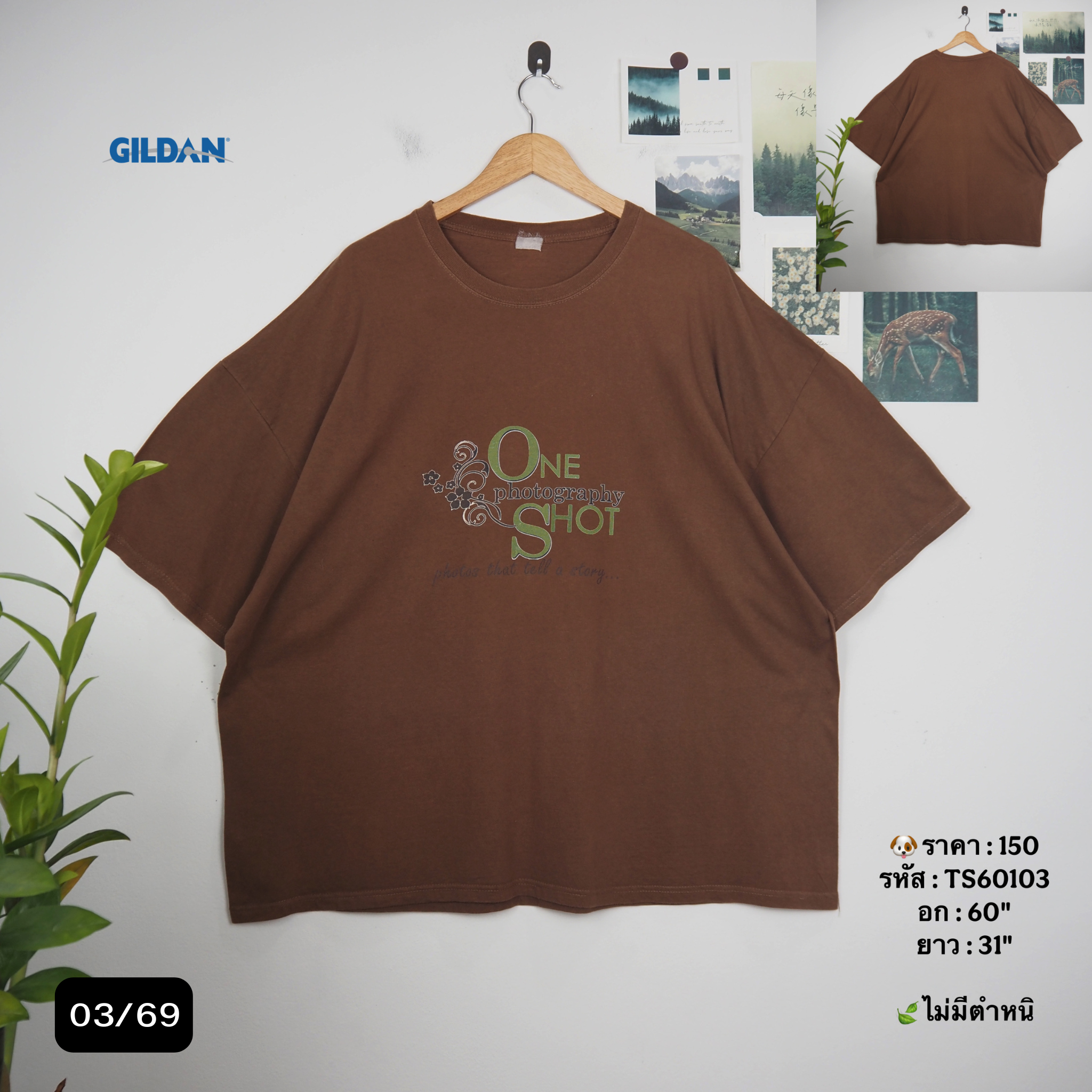 TS60103