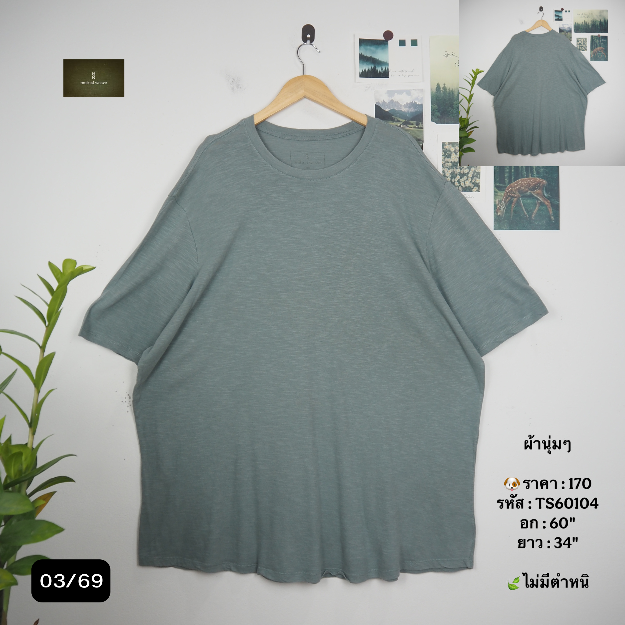 TS60104