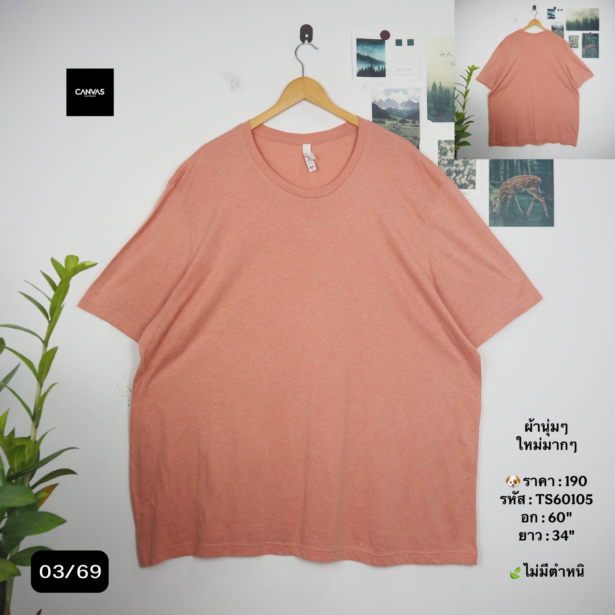 TS60105
