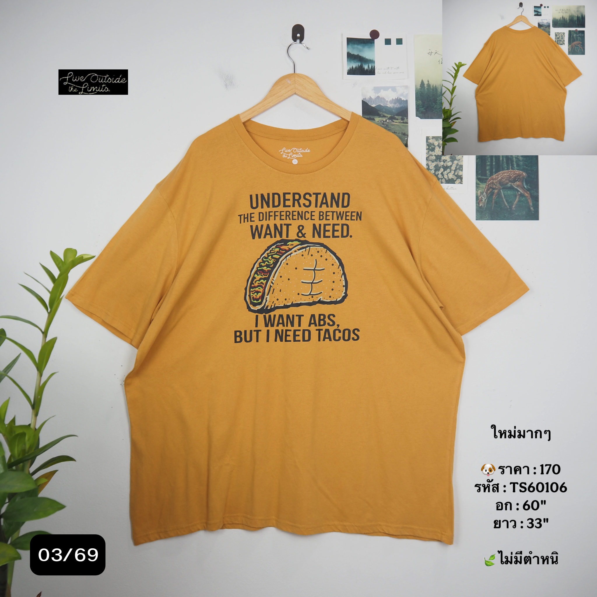 TS60106