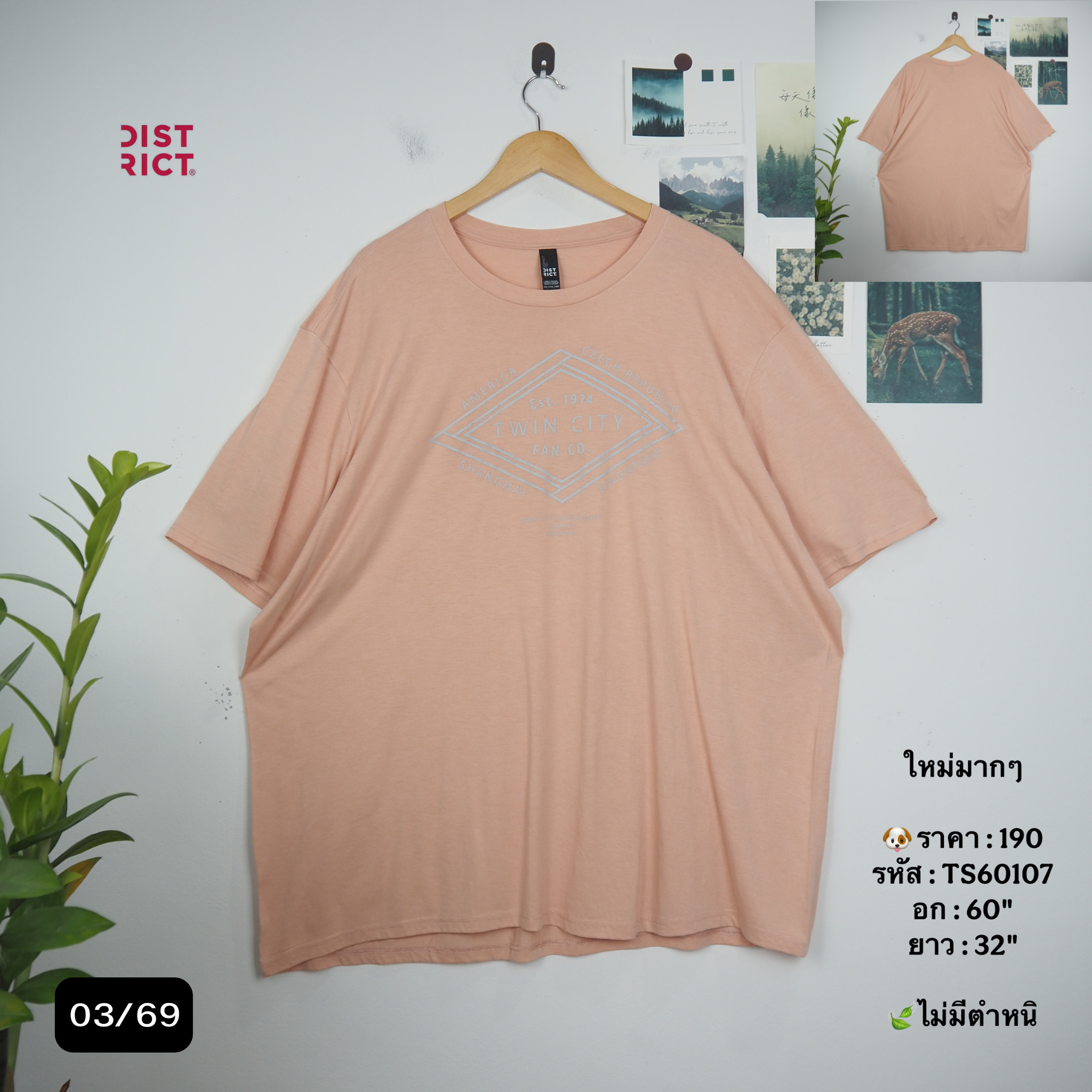TS60107