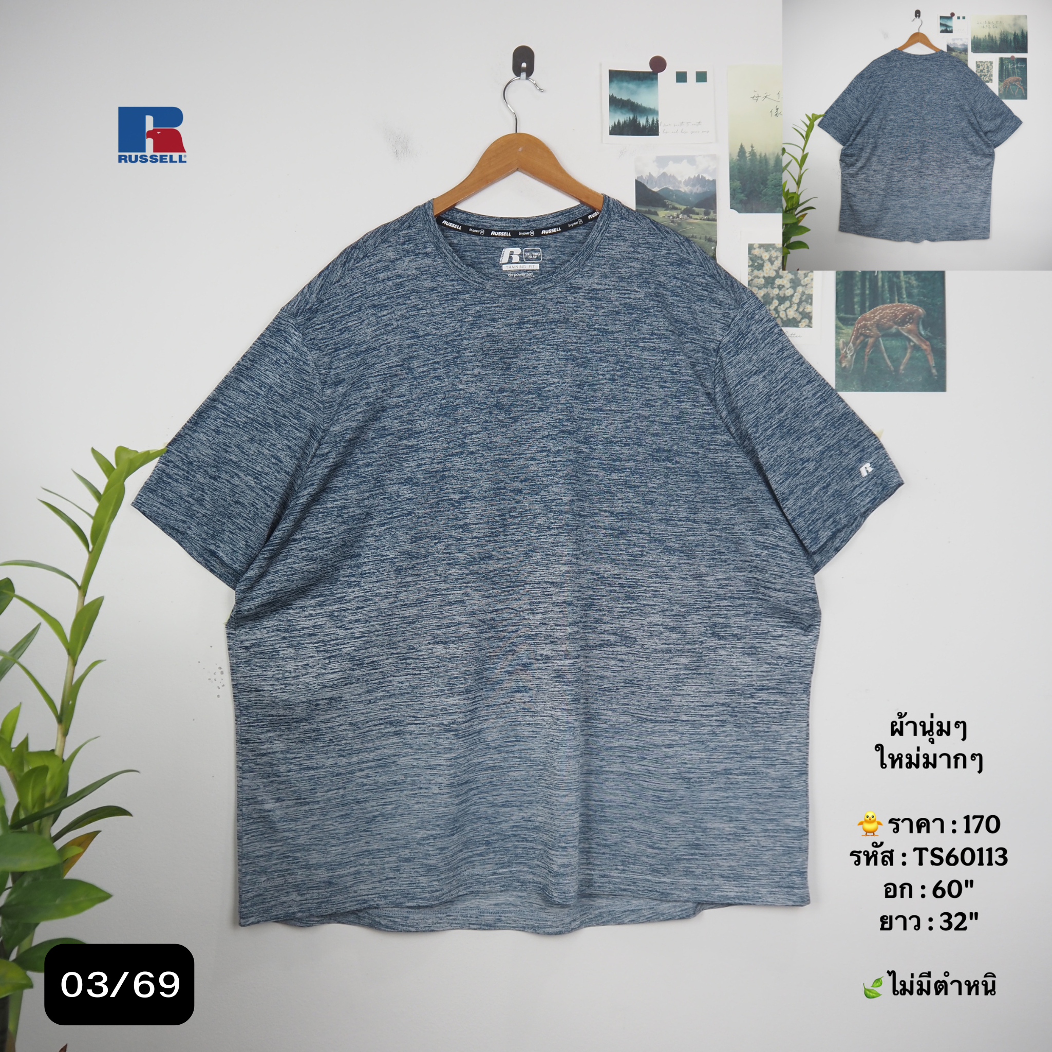 TS60113