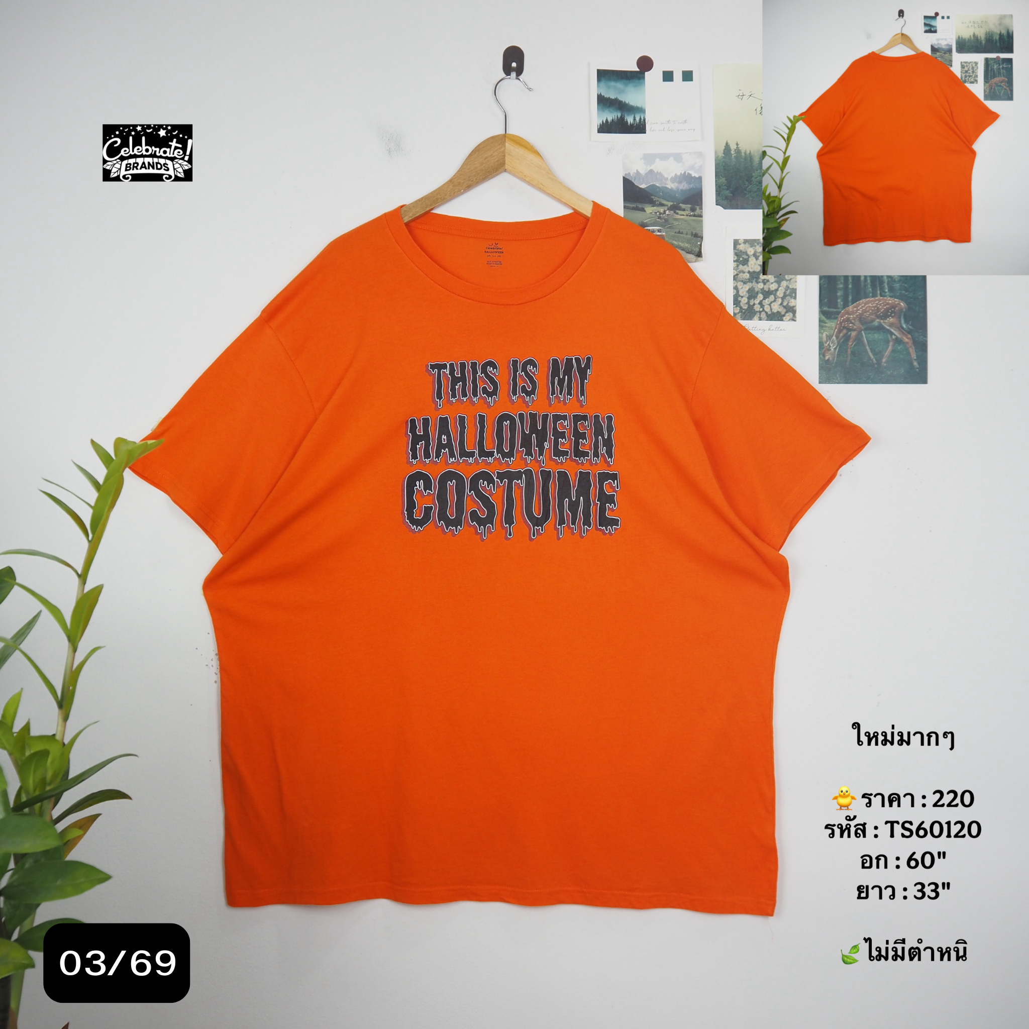 TS60120