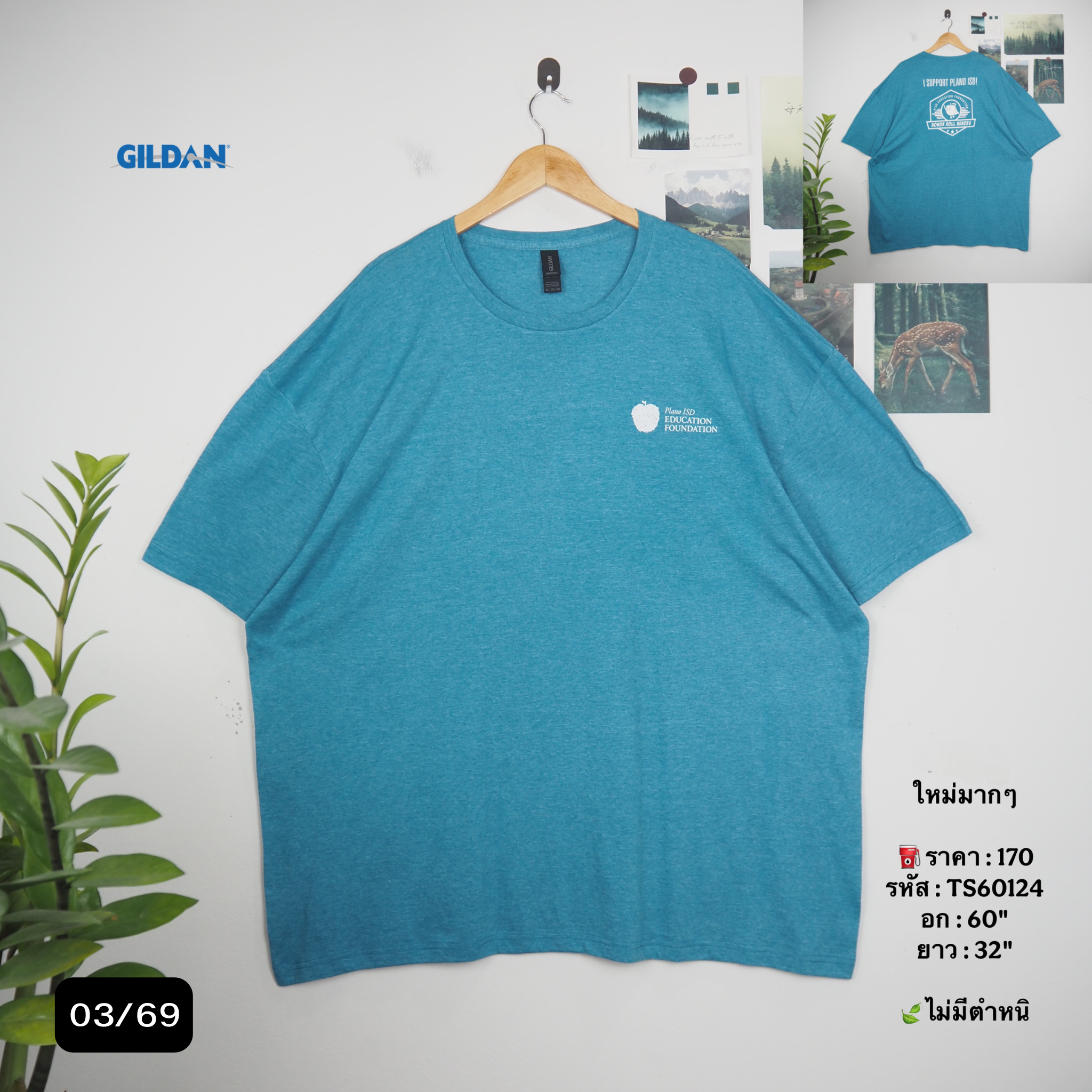 TS60124