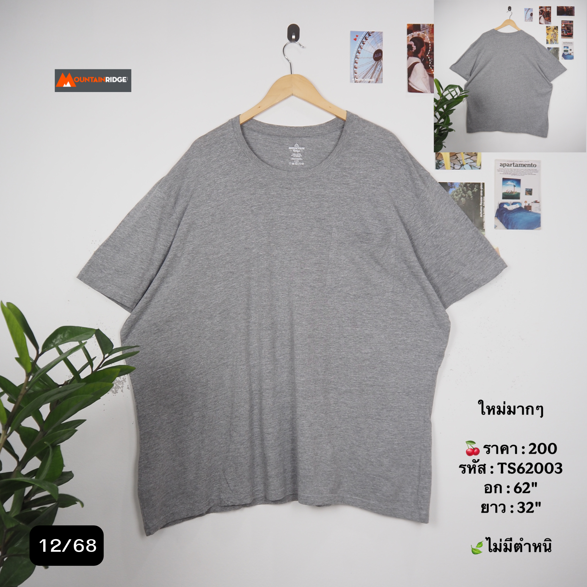 TS62003