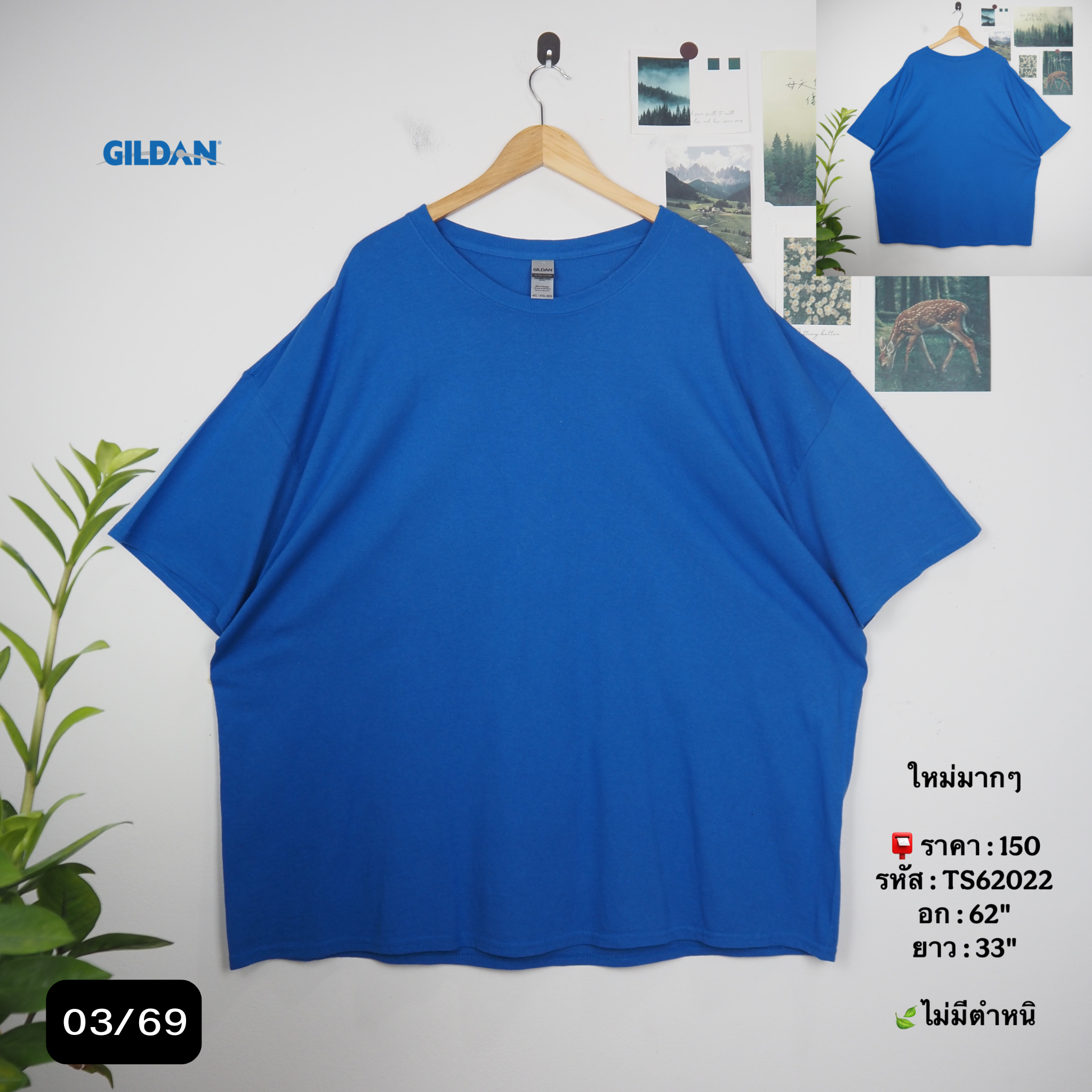 TS62022