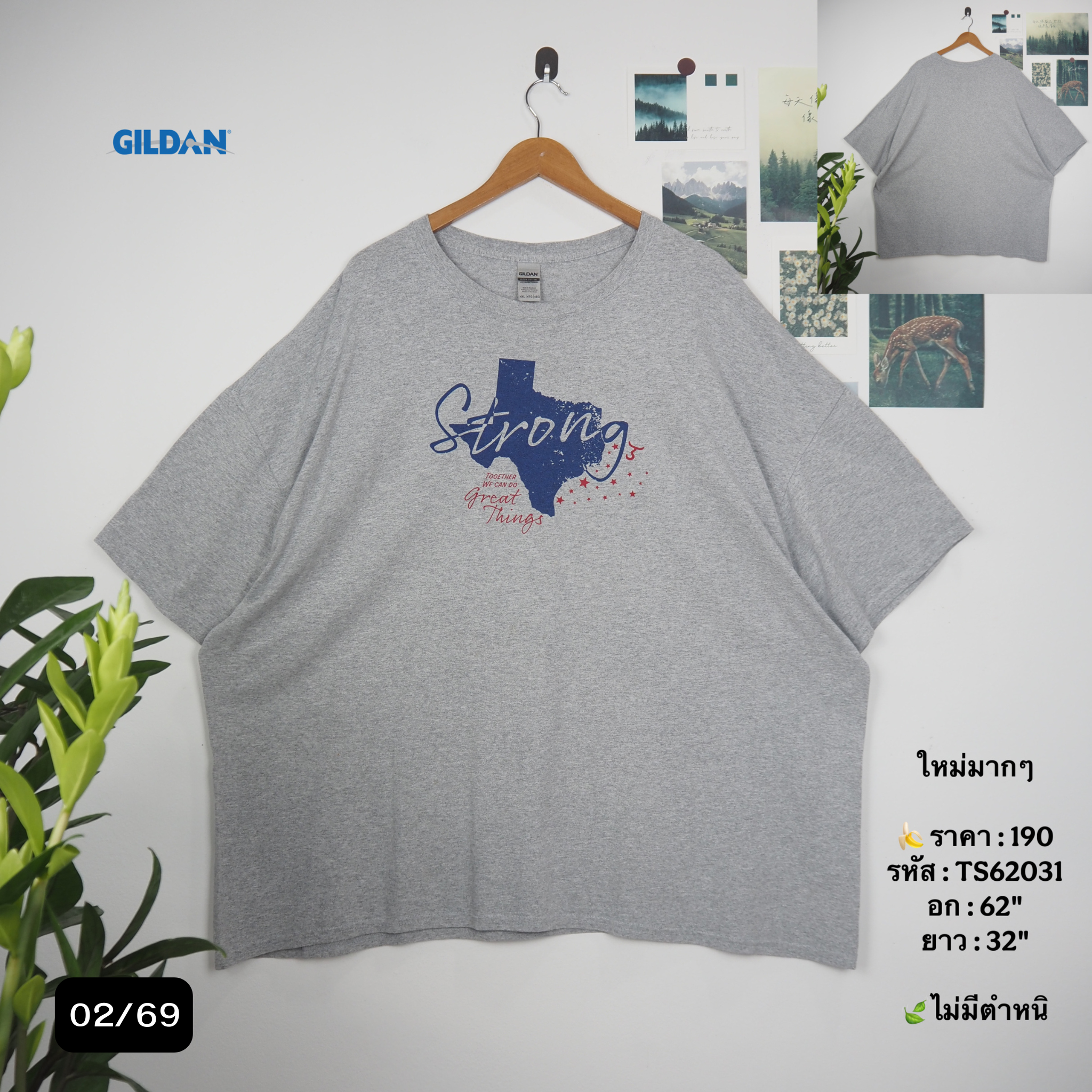 TS62031