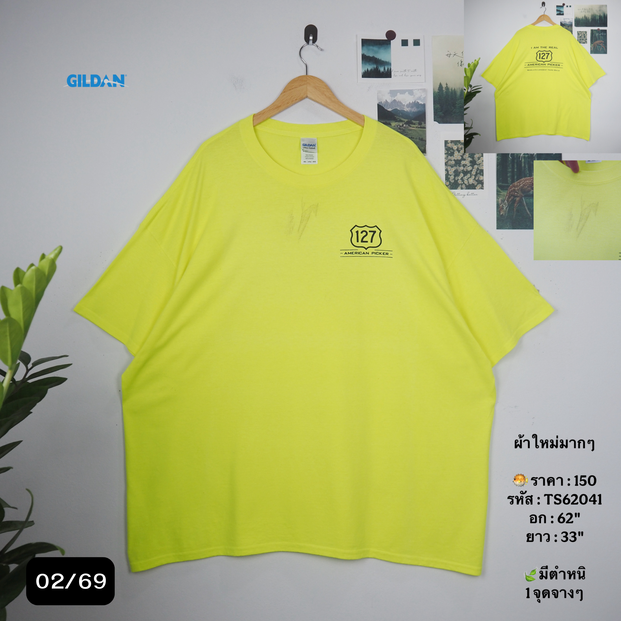 TS62041
