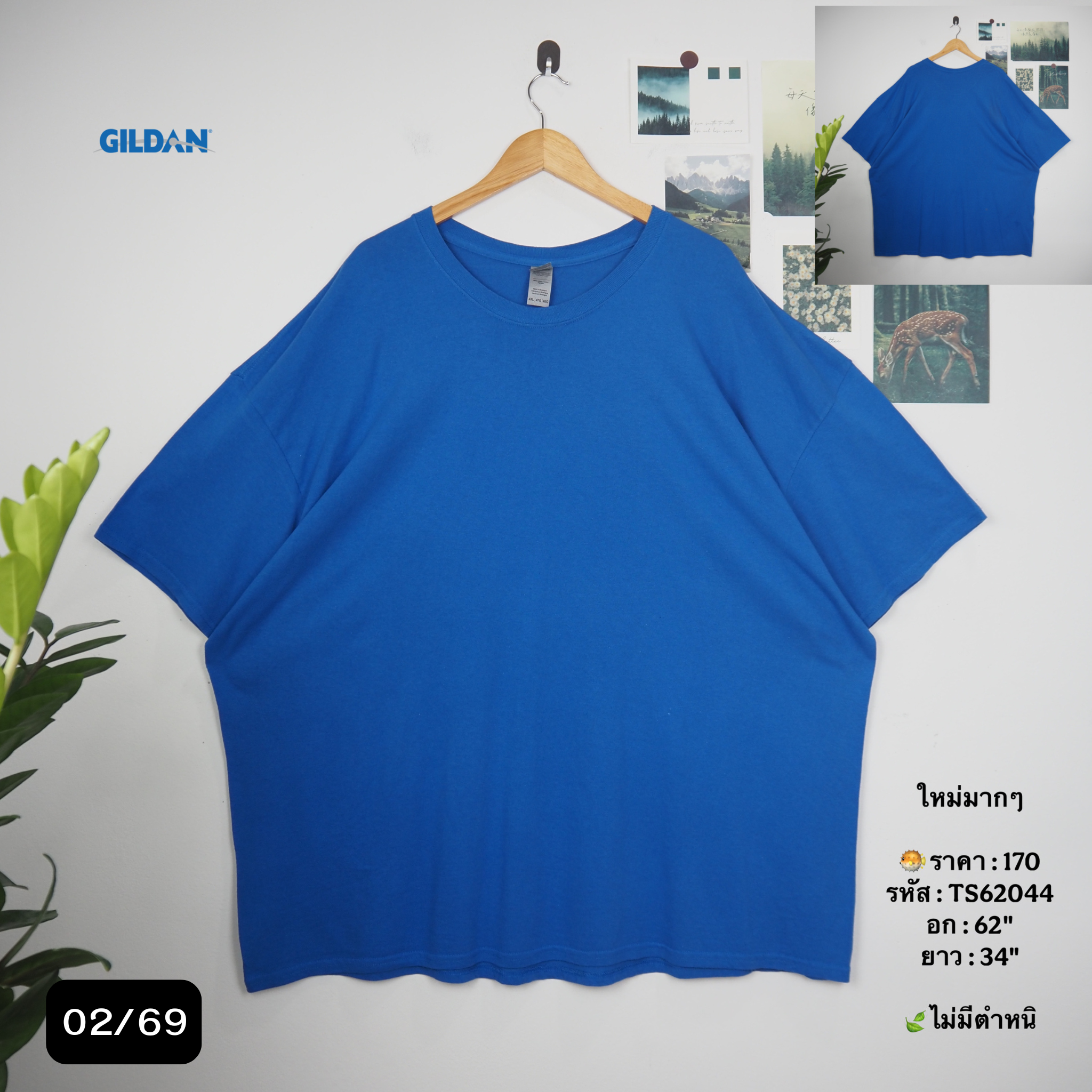 TS62044
