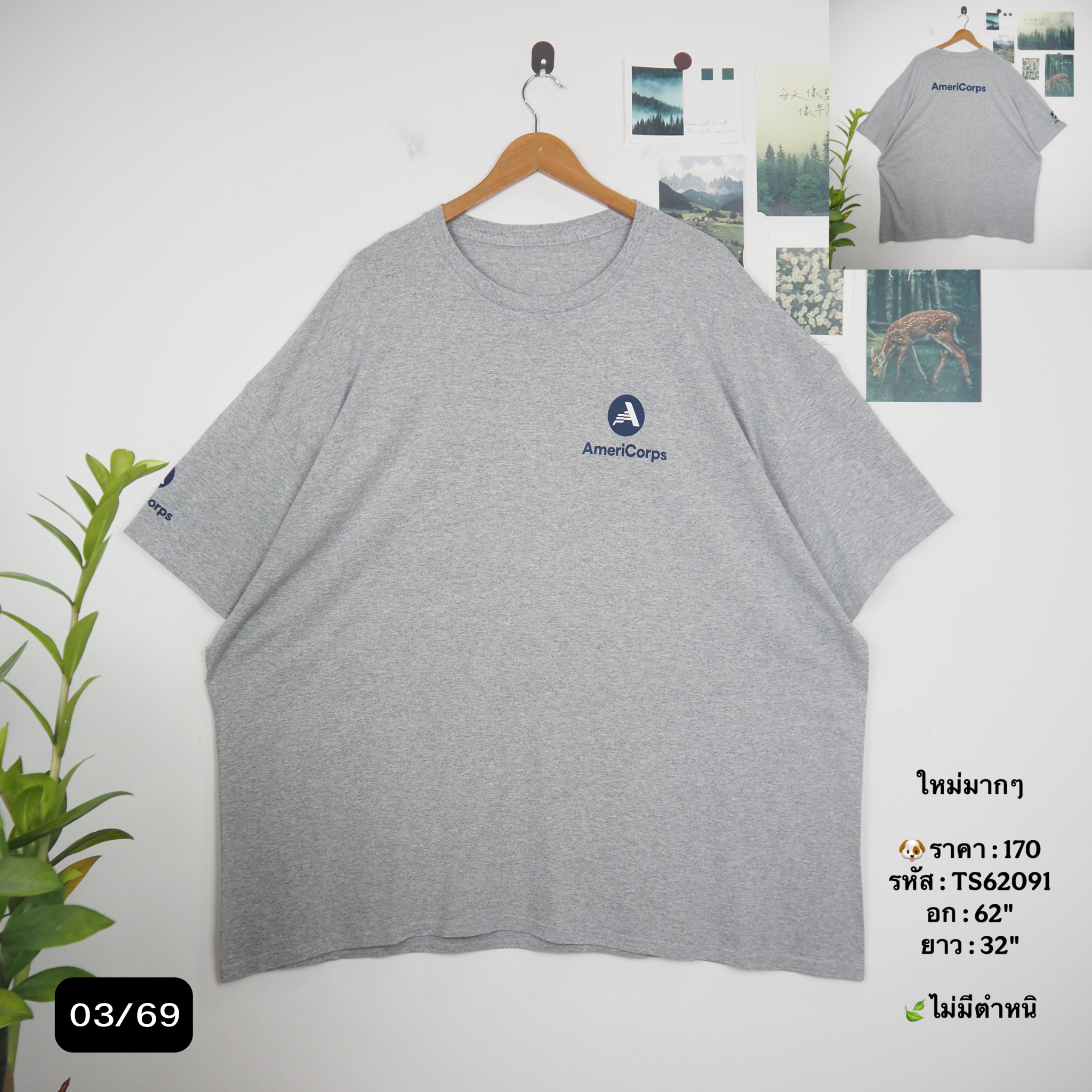 TS62091