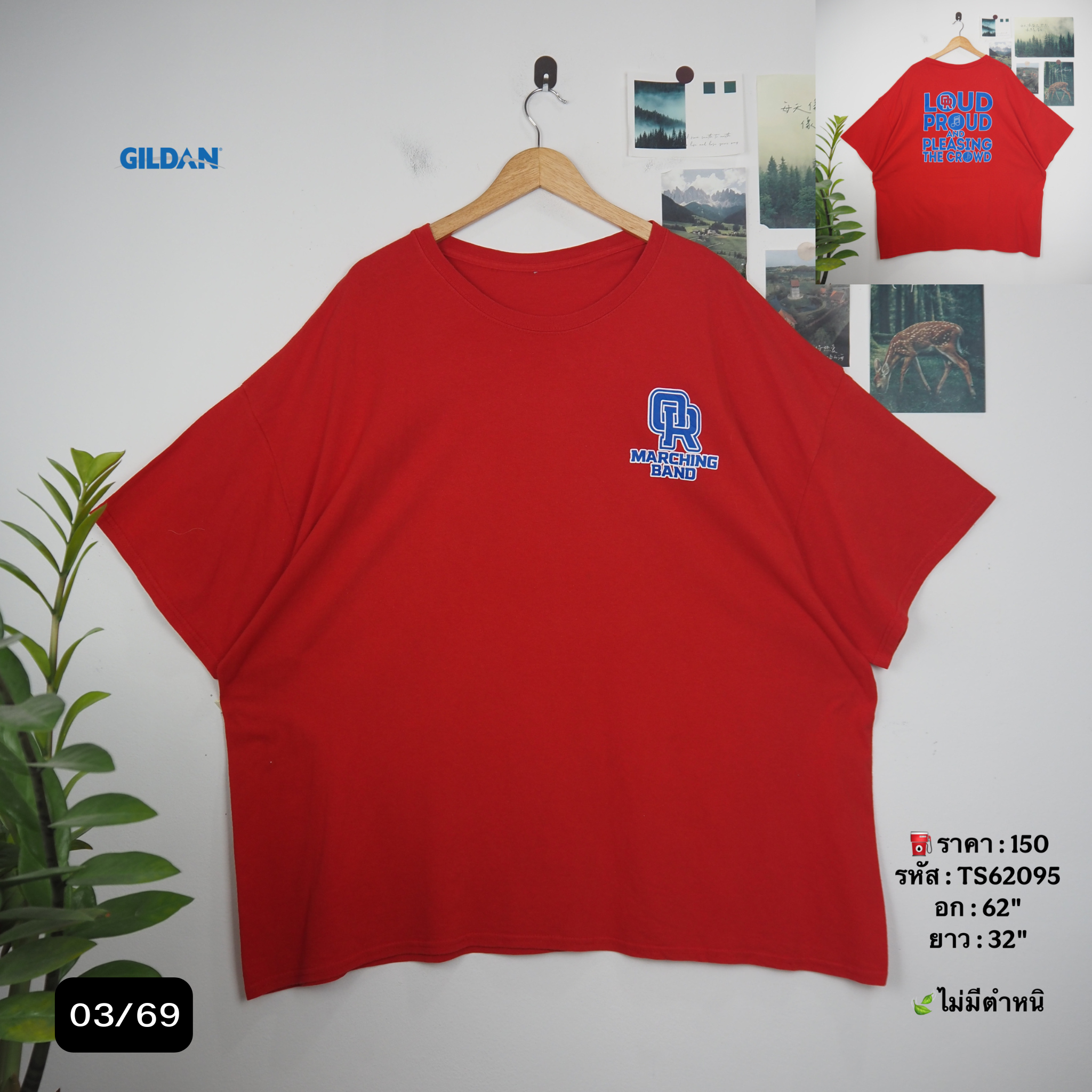 TS62095