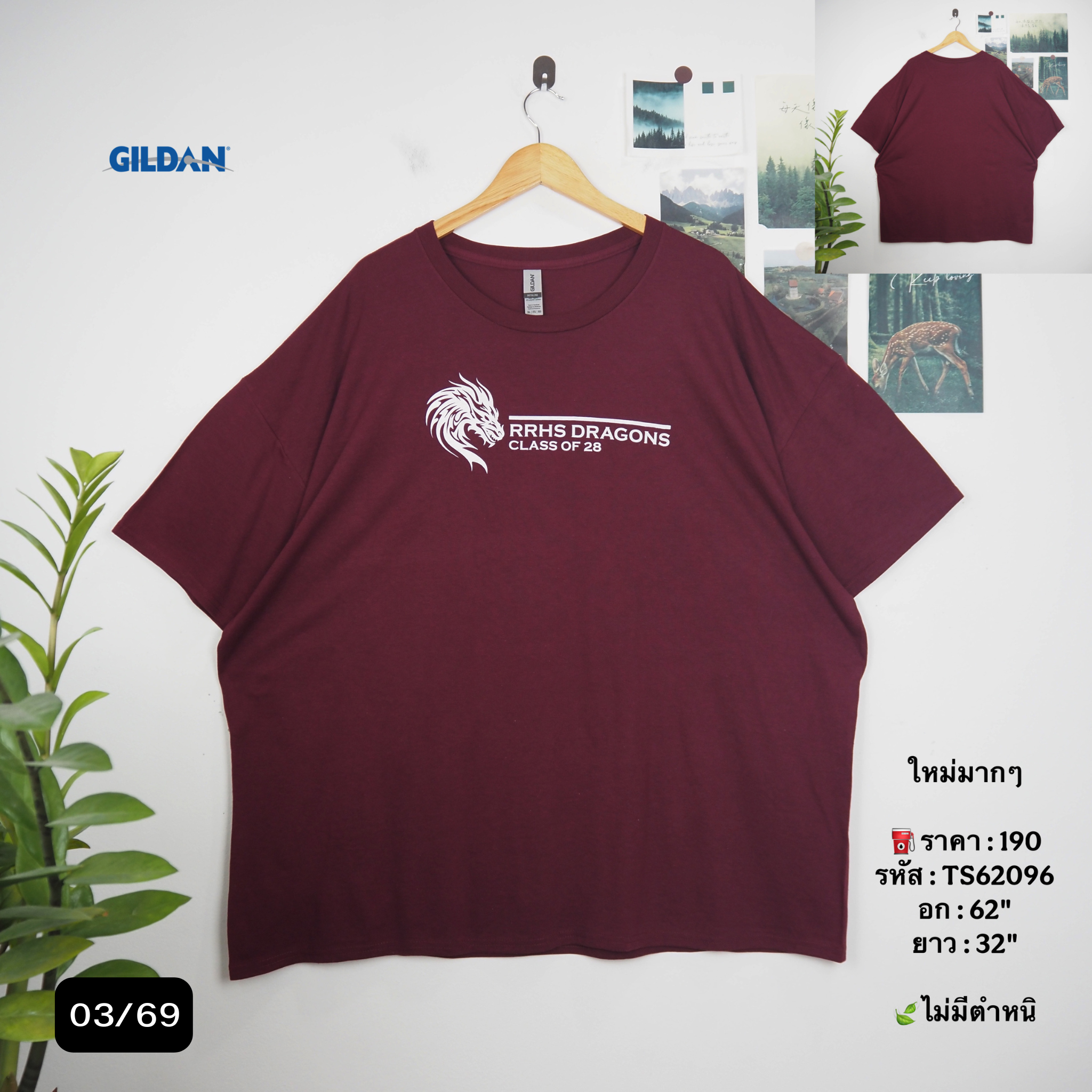 TS62096