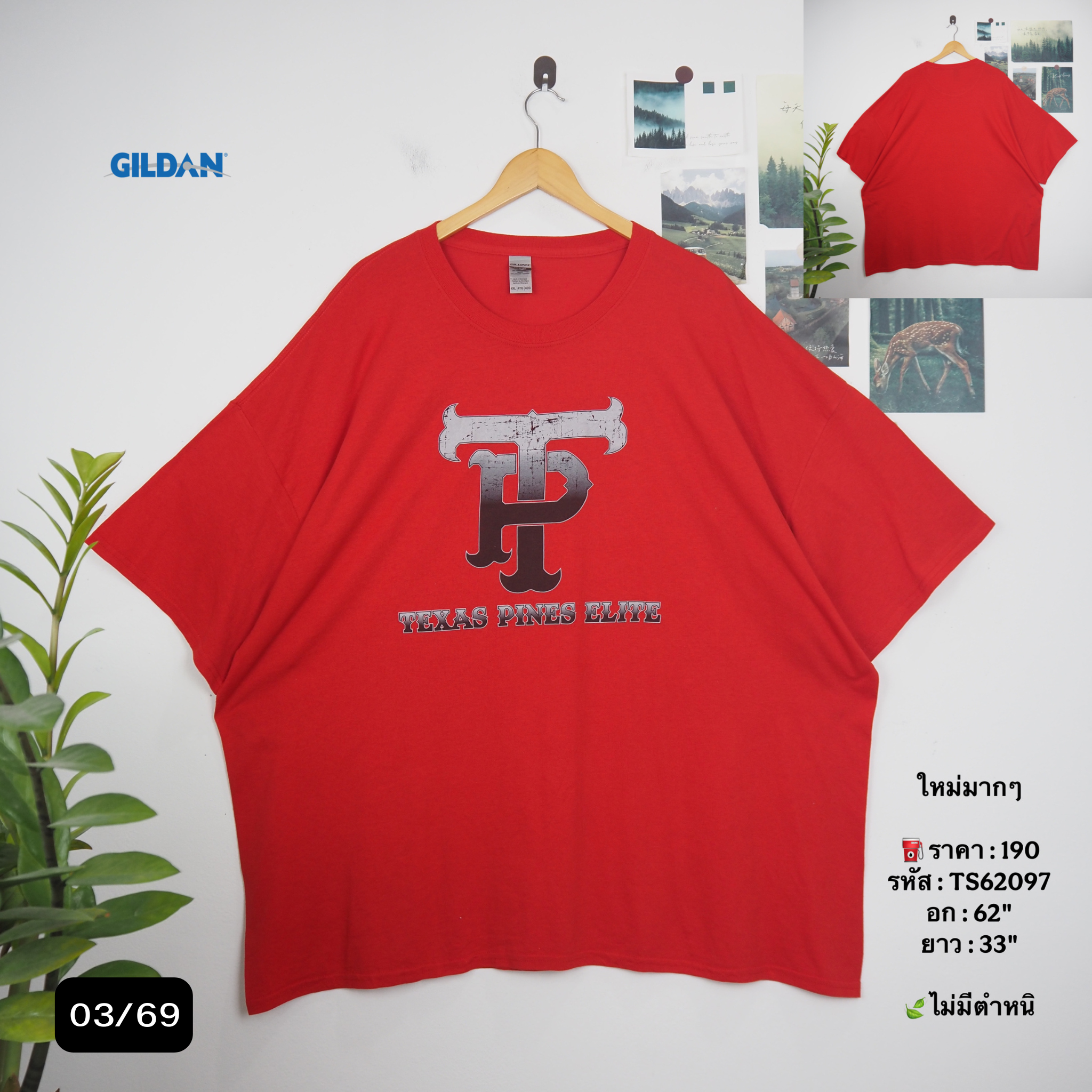TS62097