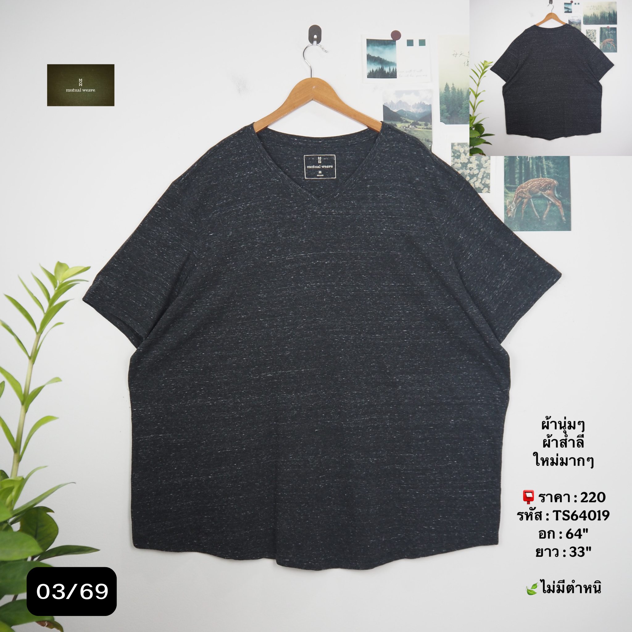 TS64019