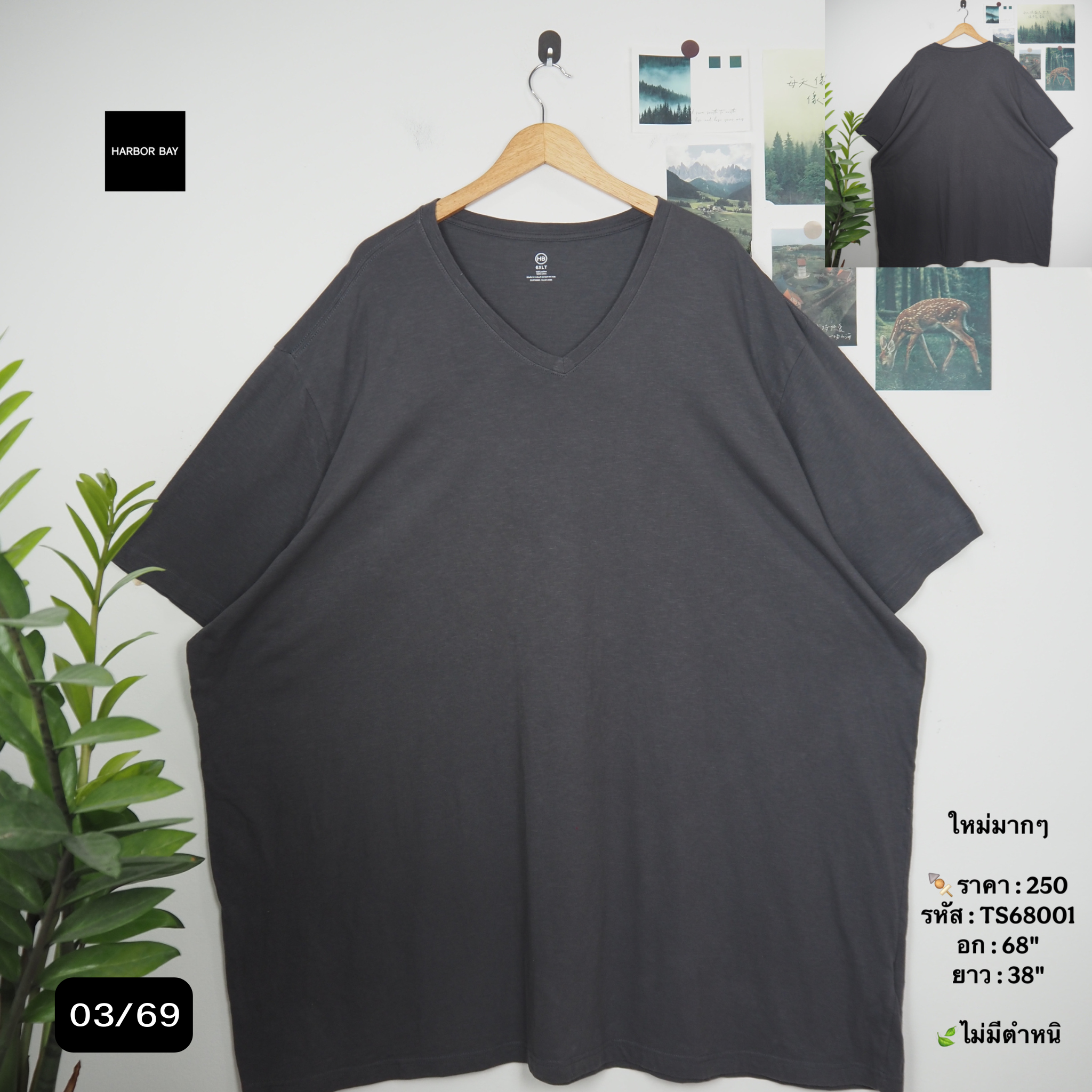 TS68001