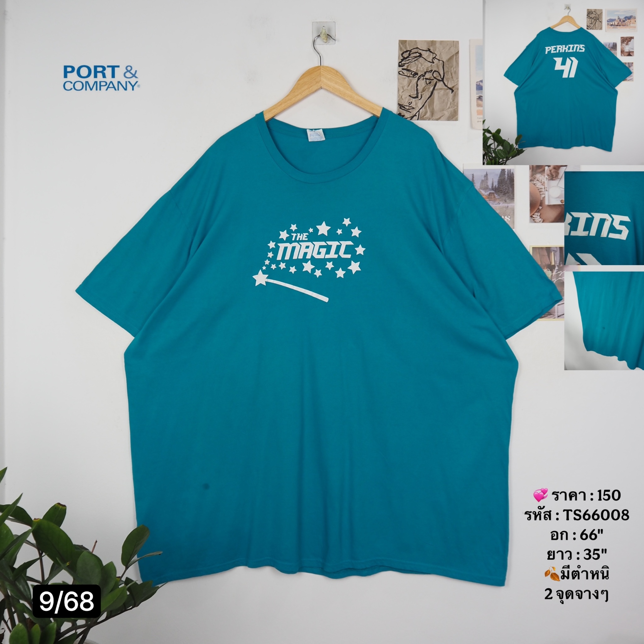 TS66008