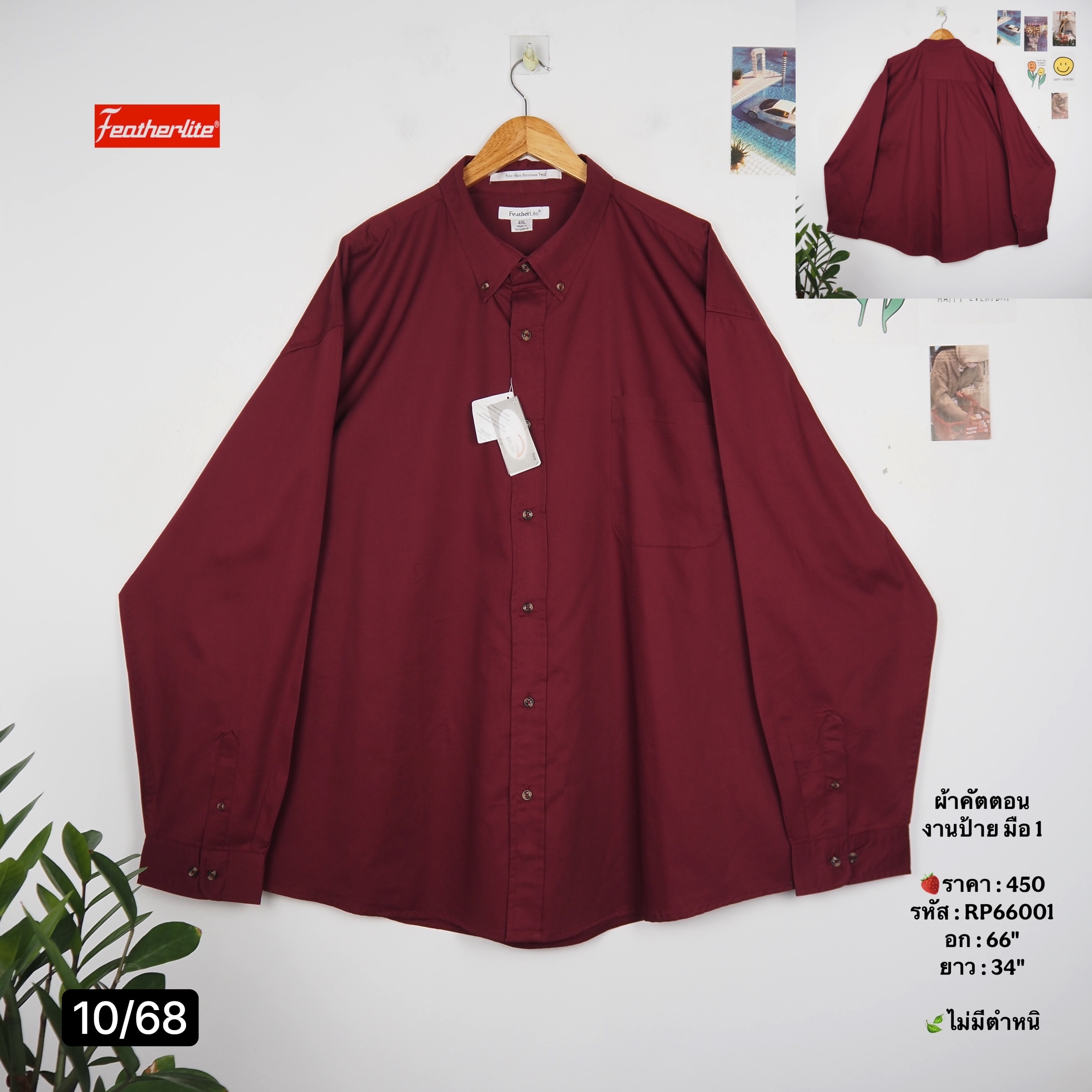 RP66001