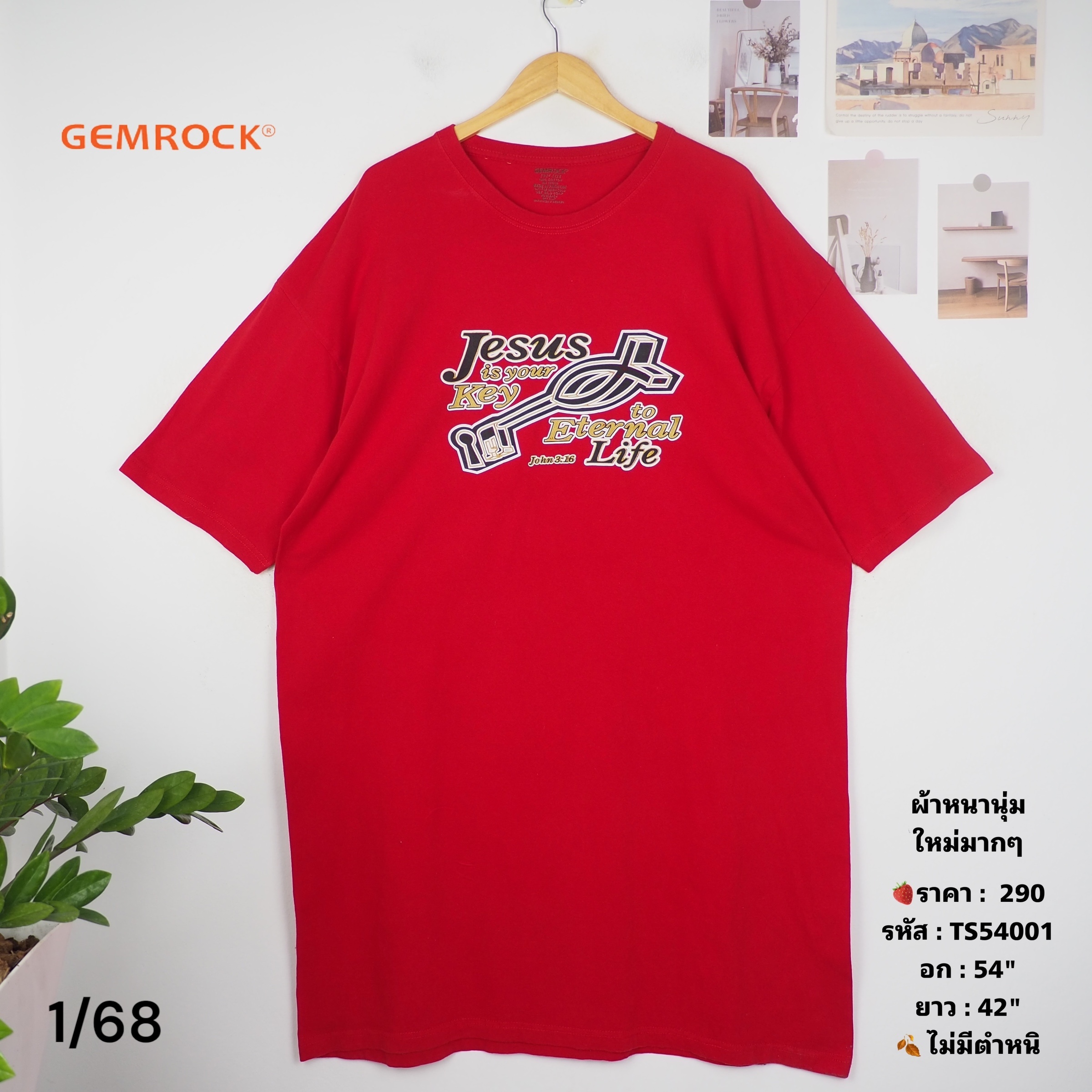 TS54001
