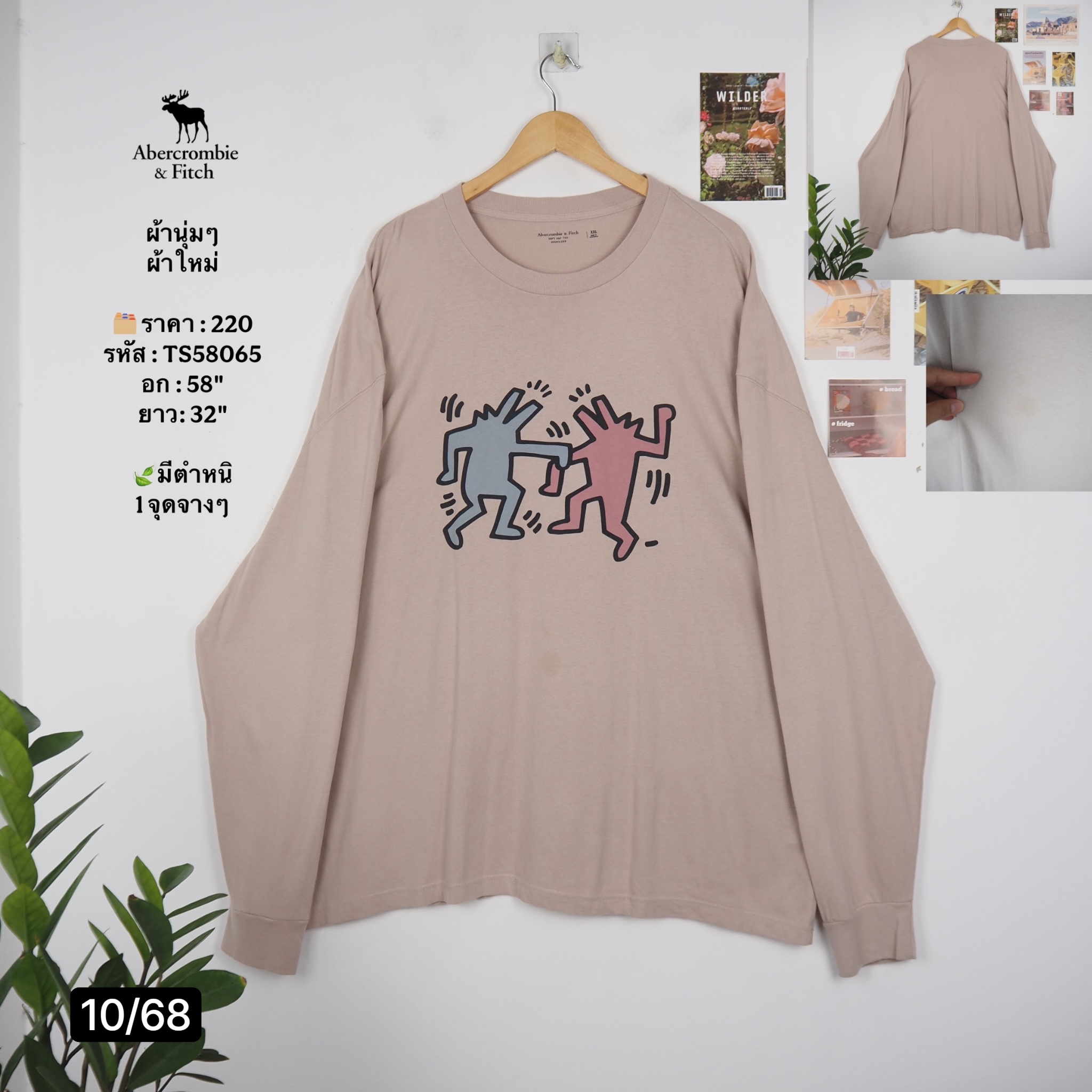 TS58065