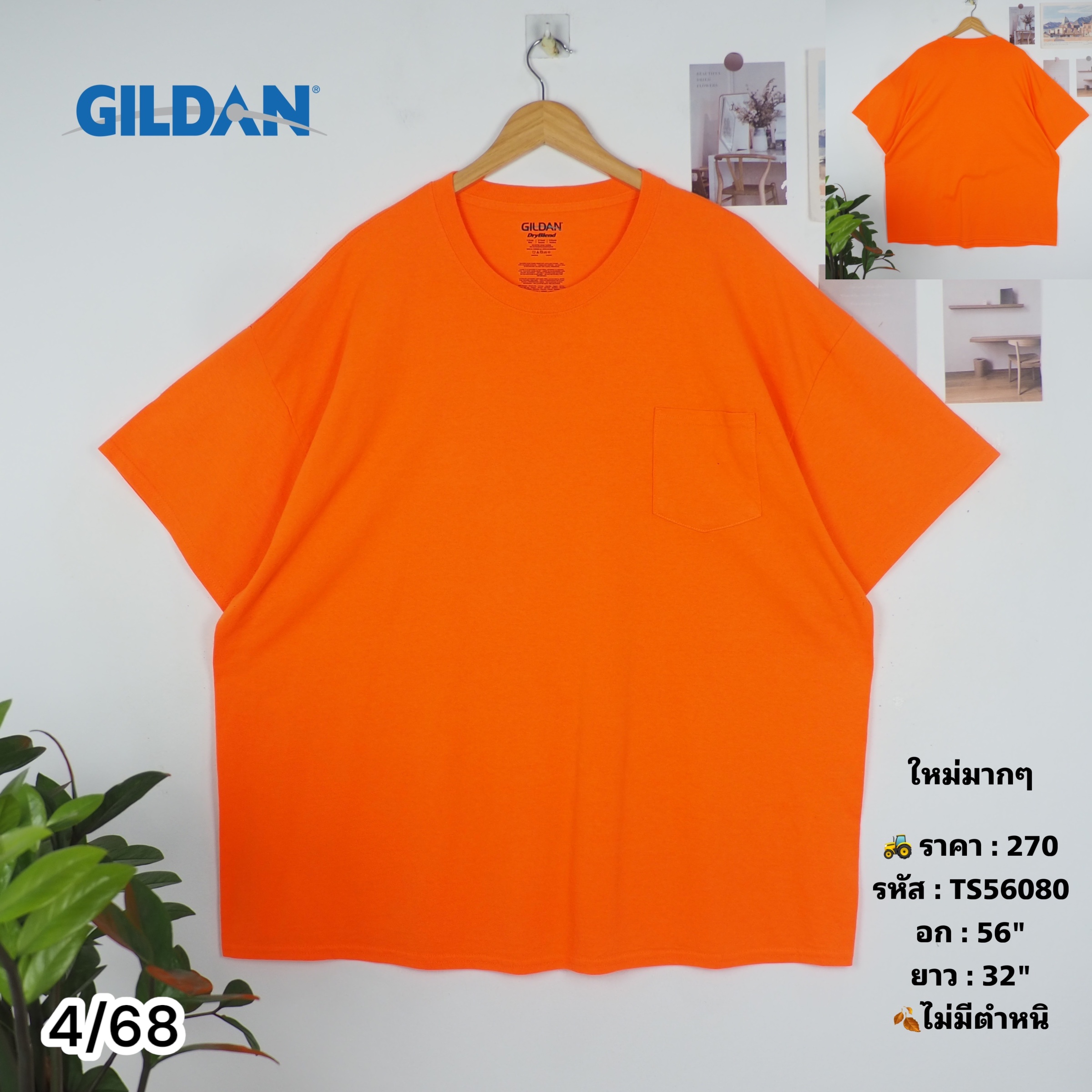 TS56080